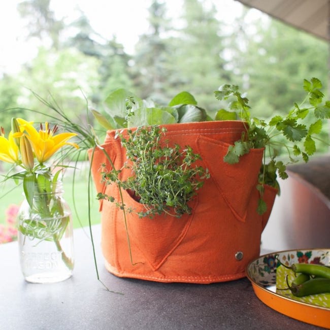 Vaso In Tessuto Per Erbe Aromatiche BloemBagz Da 6 Litri, Con 3 Tasche Living Green 83959108 Vaso In Tessuto Per Erbe Aromatiche BloemBagz Da 6 Litri, Con 3 Tasche Living Green 83959108