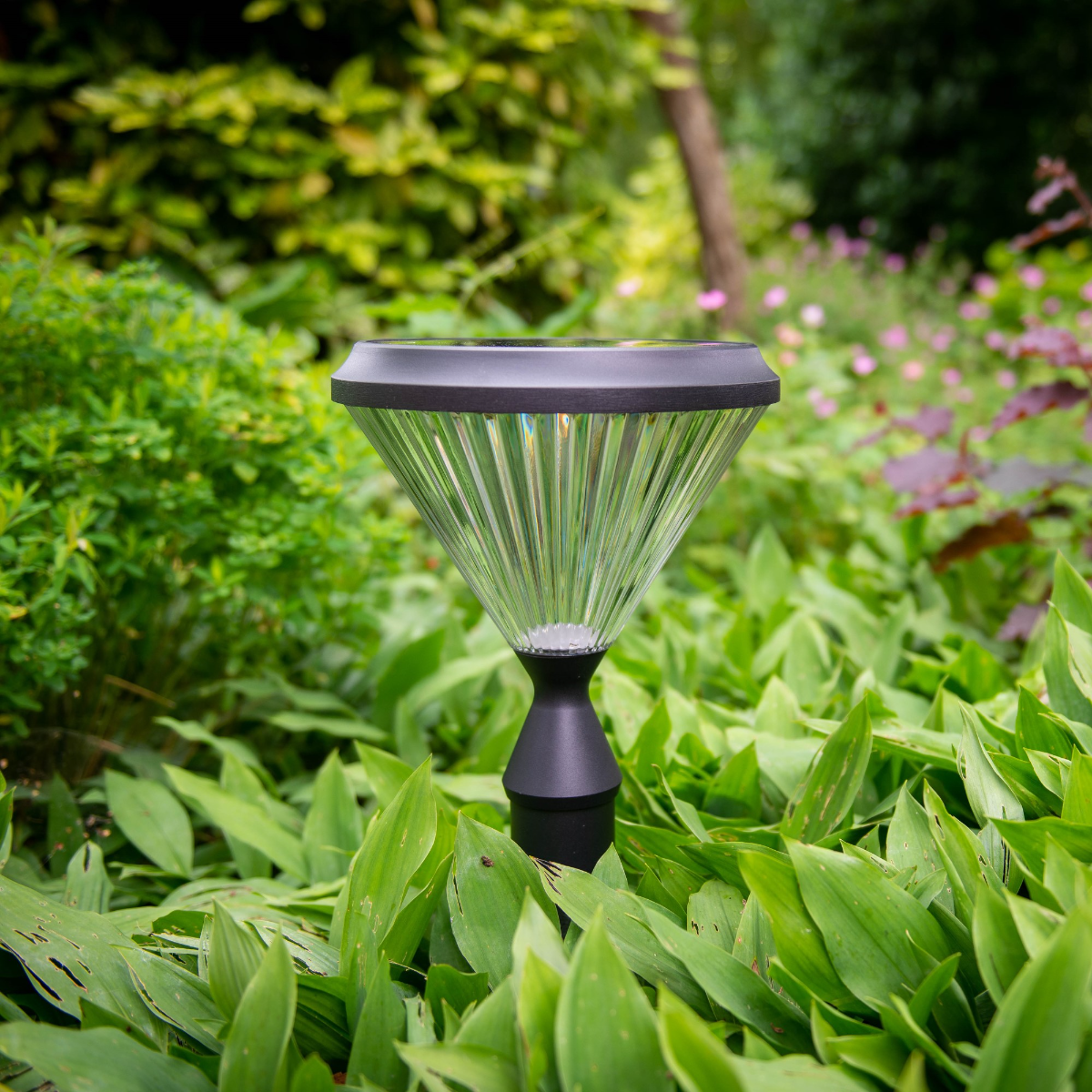 Lámpara solar Iplux® Paris con pie de 50 cm - Alta calidad - Duración de combustión 15 horas - 2
