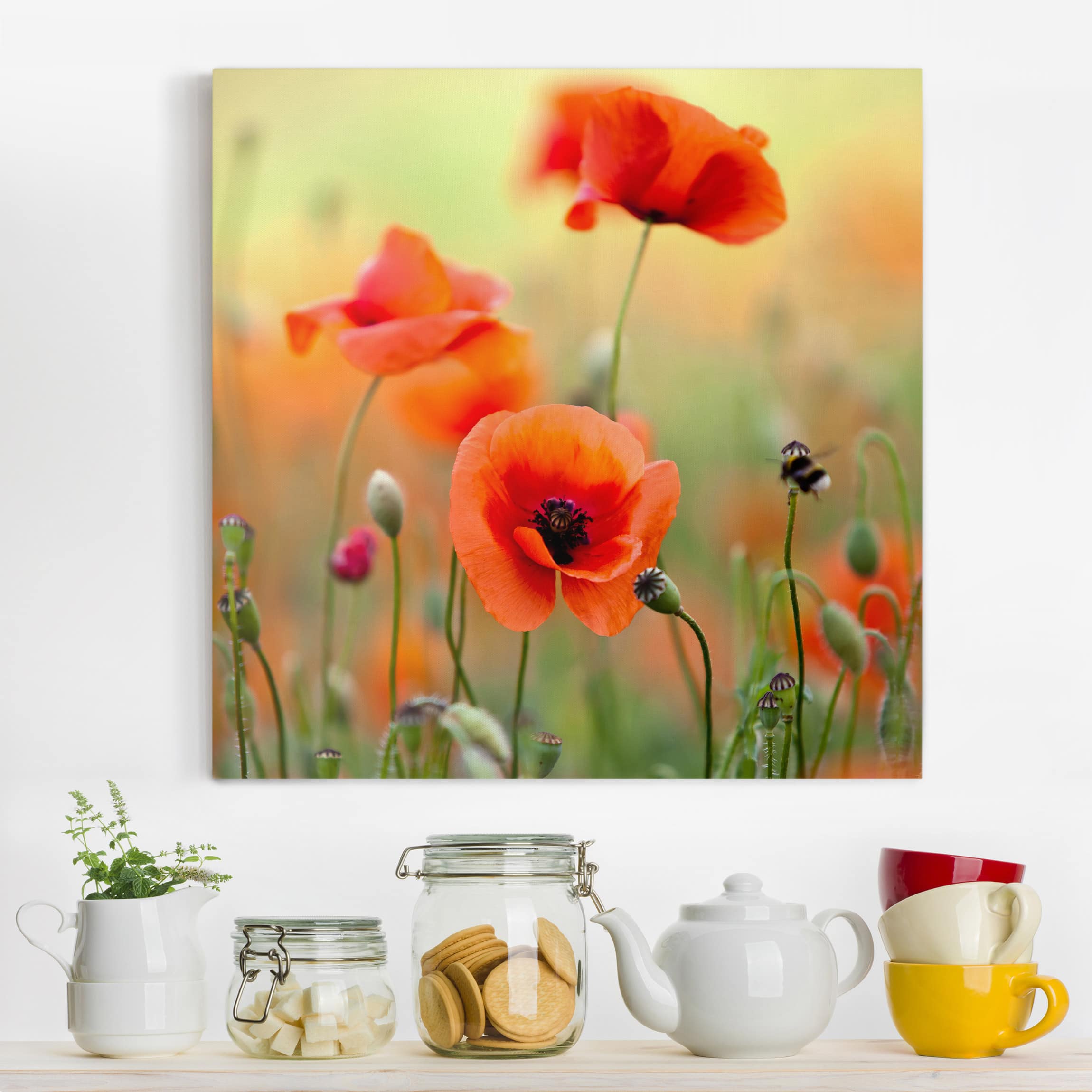Lienzo cuadro en lienzo bastidor impresion en lienzo verde botánica flor amapola fotografía 151 cocina dormitorio salón pasillo 80 x 80 cm