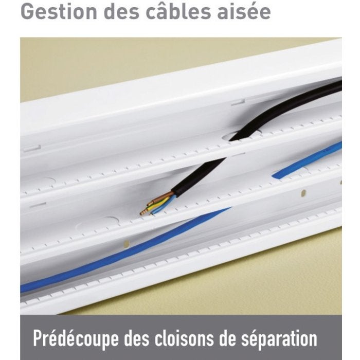 Goulotte double à clippage direct - 50 x 145 mm - Mosaic - Legrand - 3
