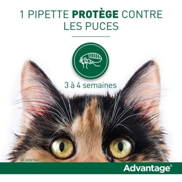 ADVANTAGE 40 - 4 pipetas antiparasitárias - Para gatos e coelhos com menos para 4 kg - 3