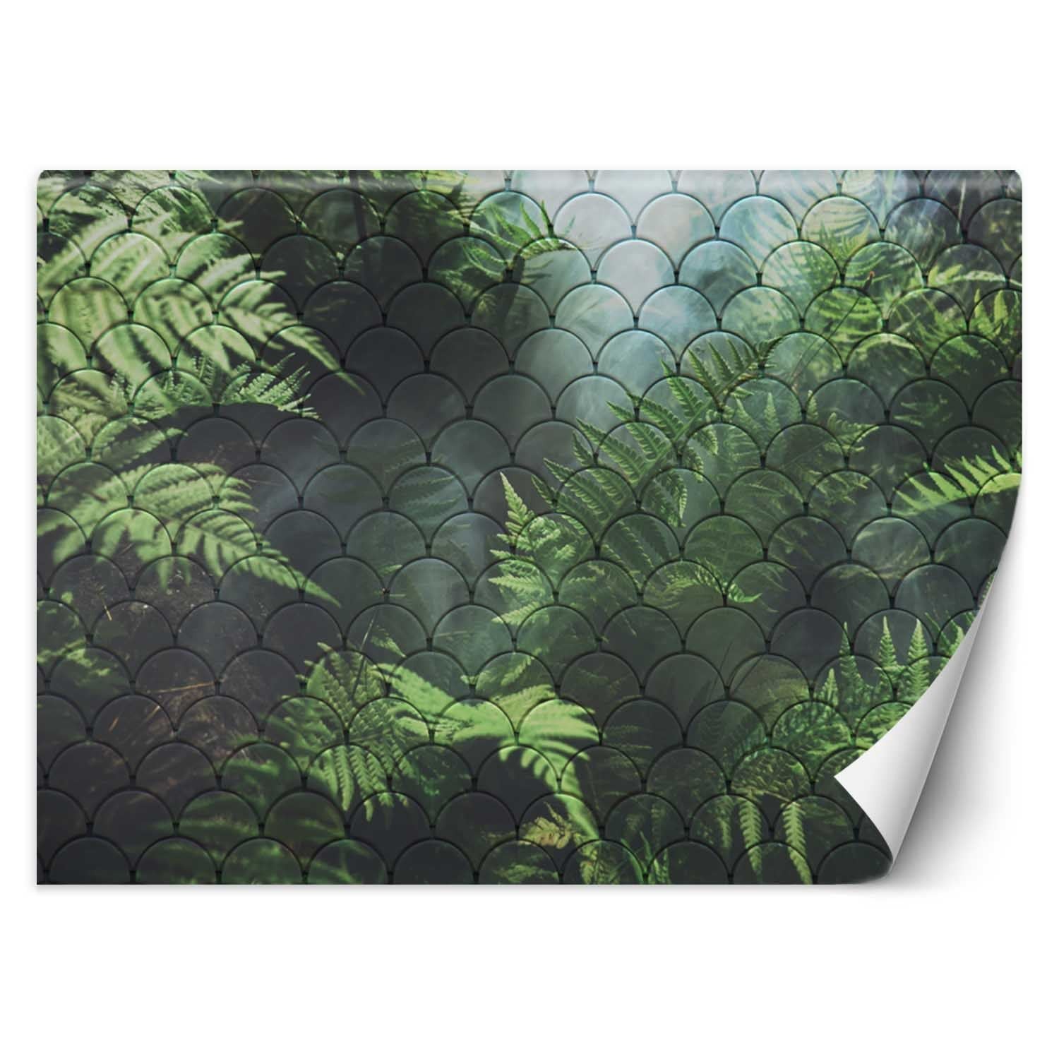 Fototapeta, Liście paproci we mgle 200x140