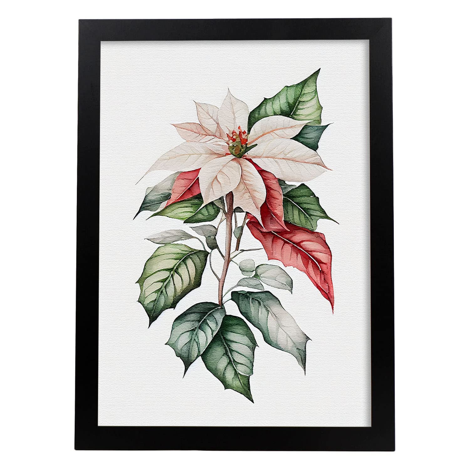 Nacnic poster de poinsettia estilo nórdico ilustraciones de botánica con flores y plantas en acuarela diseño moderno y modelo 1 a3 con marco negro