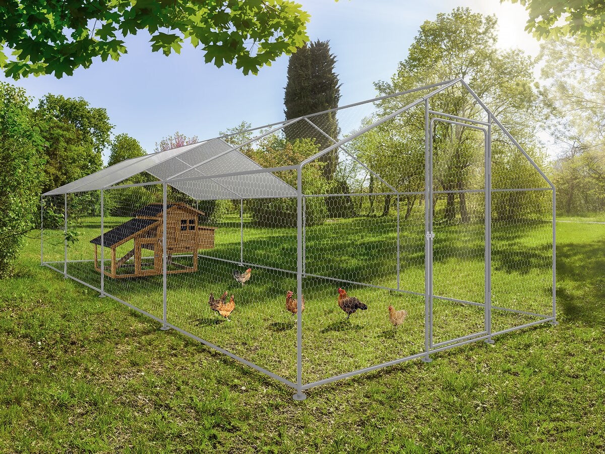 Recinto para frangos 24 m² parque de tela metálica 8 x 3 x 2 M aço galvanizado - 2