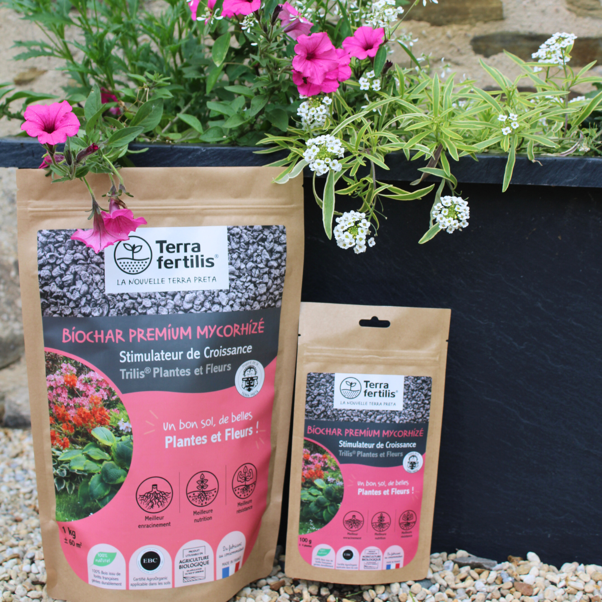 Fertilisant Plantes Et Fleurs À Base De Mycorhizes - 250g - 10