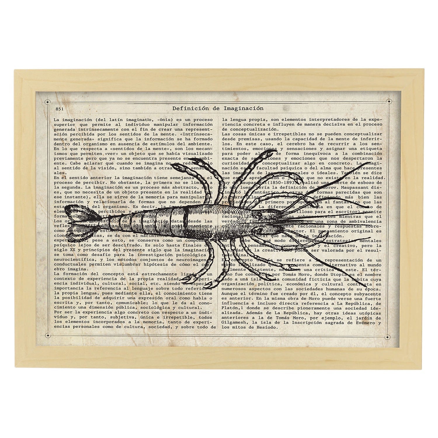 Affiches D'objets Vintage Lame De Homard Vintage Avec Des Images D'objets Et D'instruments Vintage, Avec Des Définitions En Espagnol Châssis Blanc A4 - 2