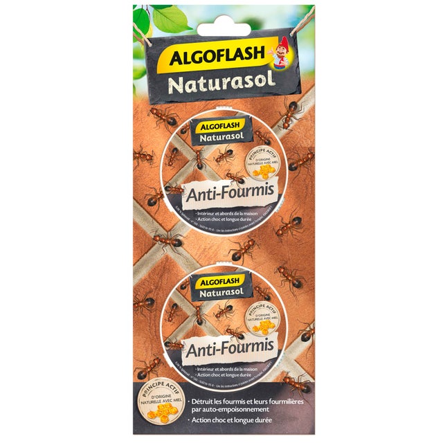 Antinsetti in scatola con esca 2 pz