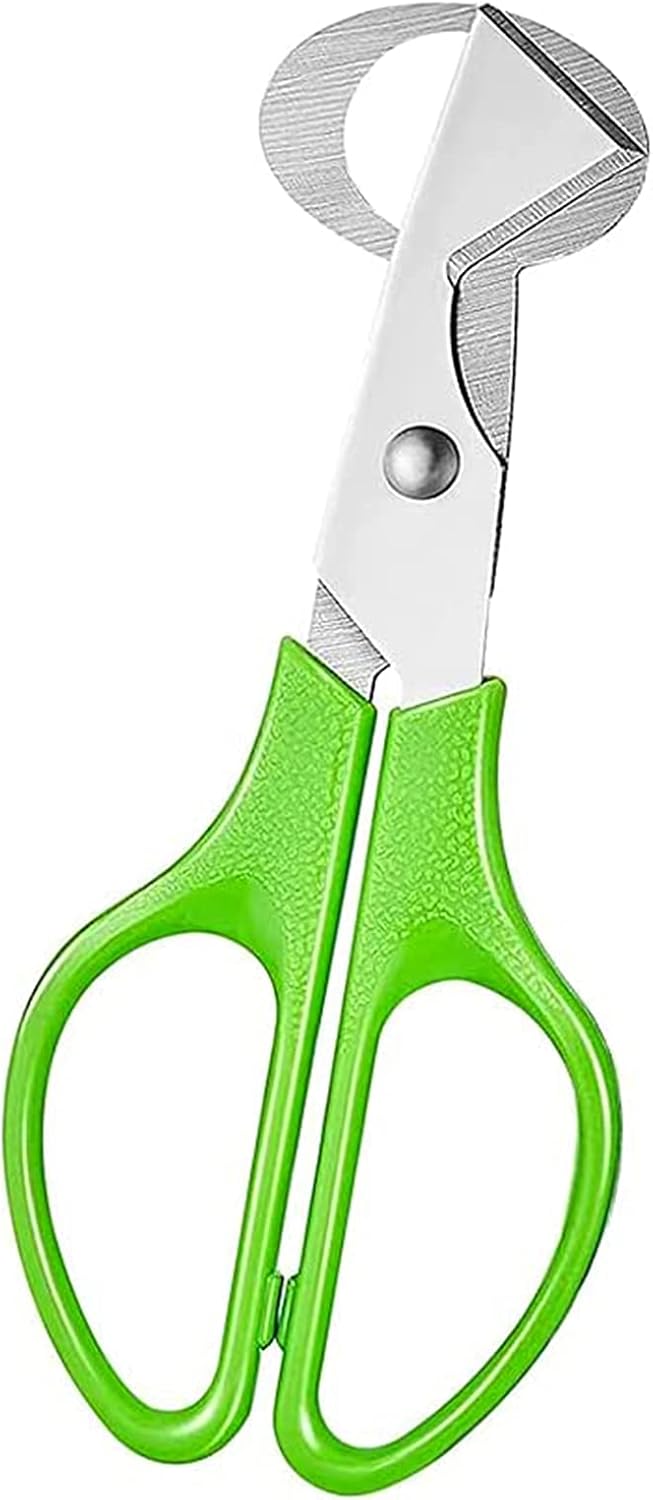 Ibasenice 20 Mini-Œufs De Caille En Plastique – 1,2 Cm – Accessoires Pour Micro-Paysage, Jardin Miniature, Bricolage Et Décoration