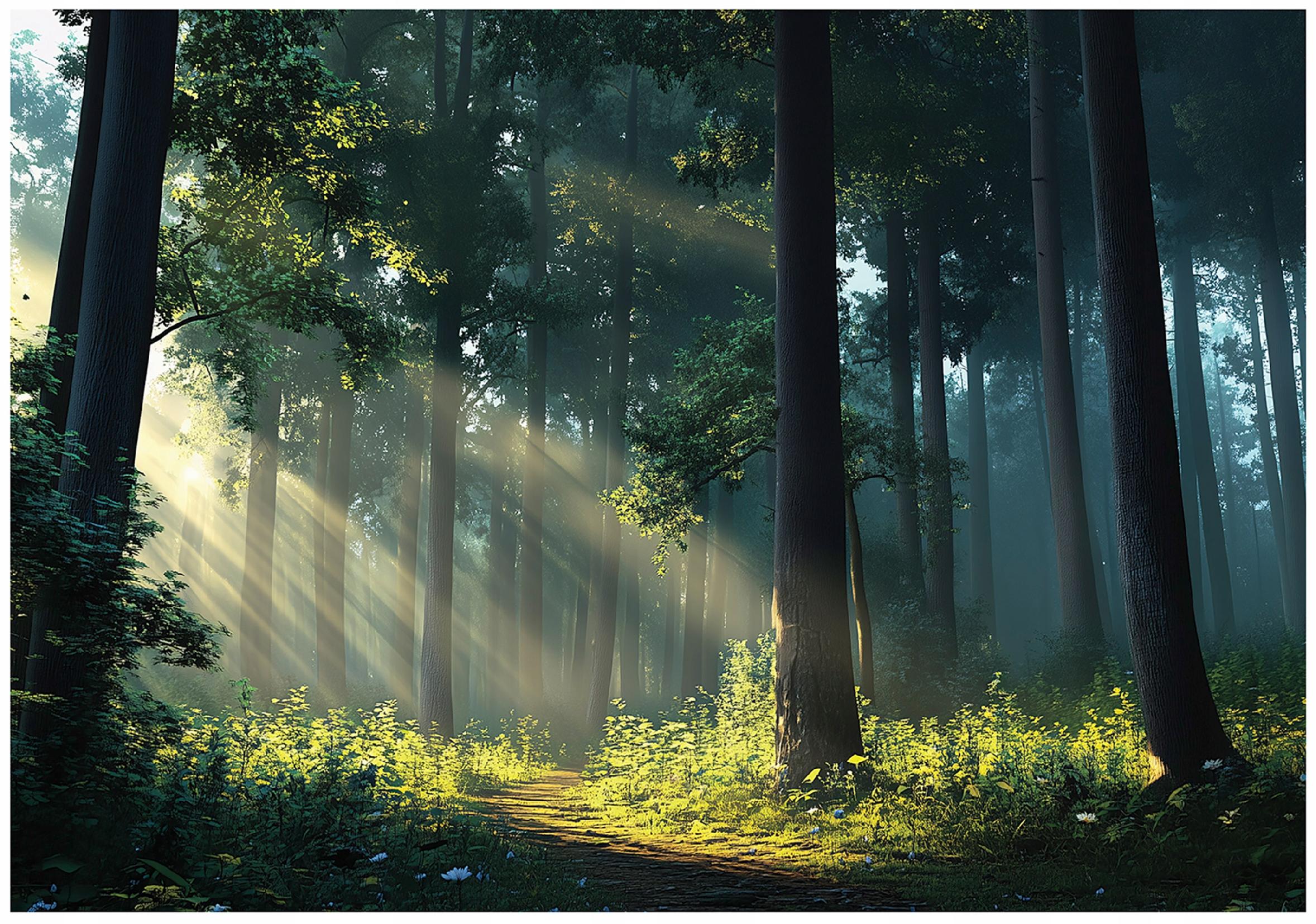 Fototapeta Słoneczny Las Drzewa Natura 400x280 cm Tapeta Do Sypialni Salonu Kuchni Na Flizelinie