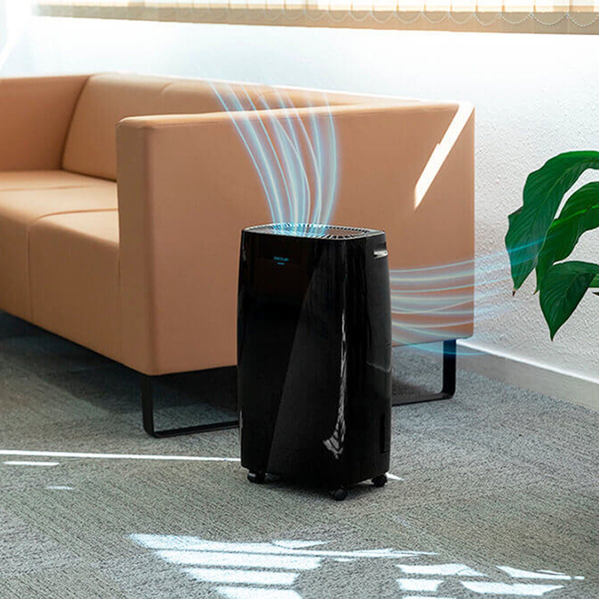 Cecotec BigDry 4000 Expert Black Deshumidificador 2.5 Litros - Imagen 6