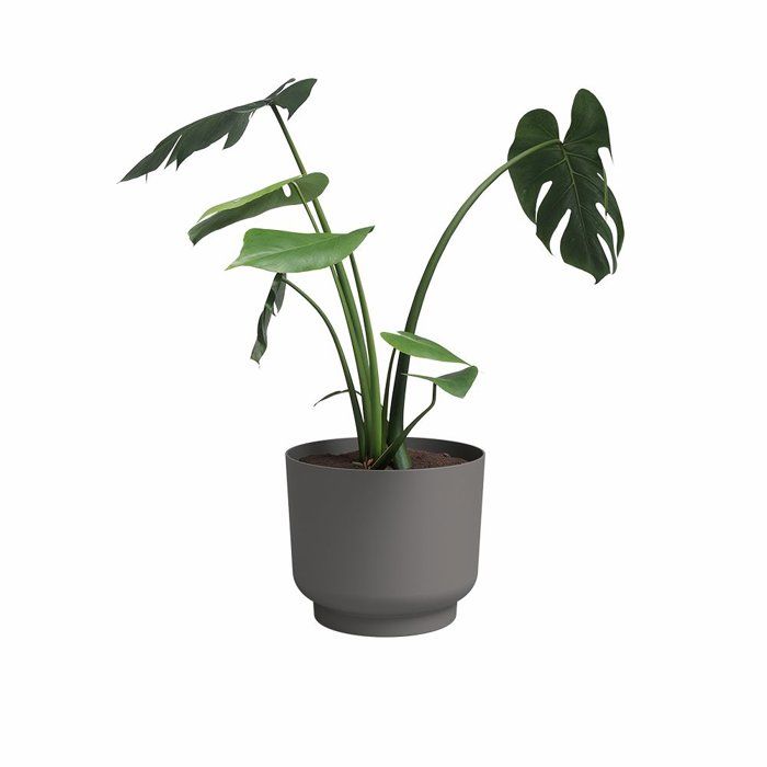 ARTEVASI - Pot et Jardinière L28cm H25cm - 2