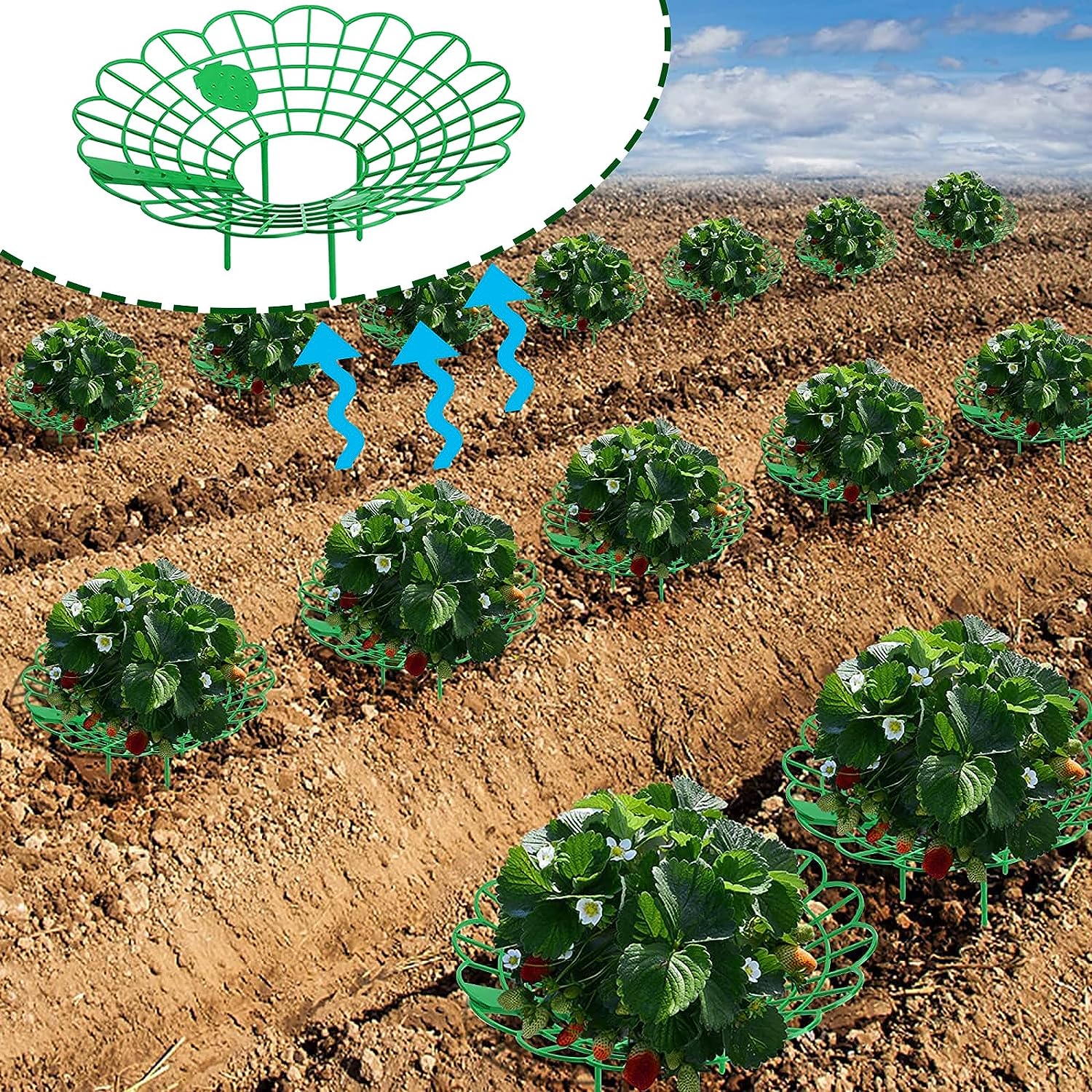 10Pcs Support Fraisier,Support de Plantes de Fraises,Cadre de Culture de Fraises,Support de Plantes de Fraise,pour Fraise,Légume, - 8
