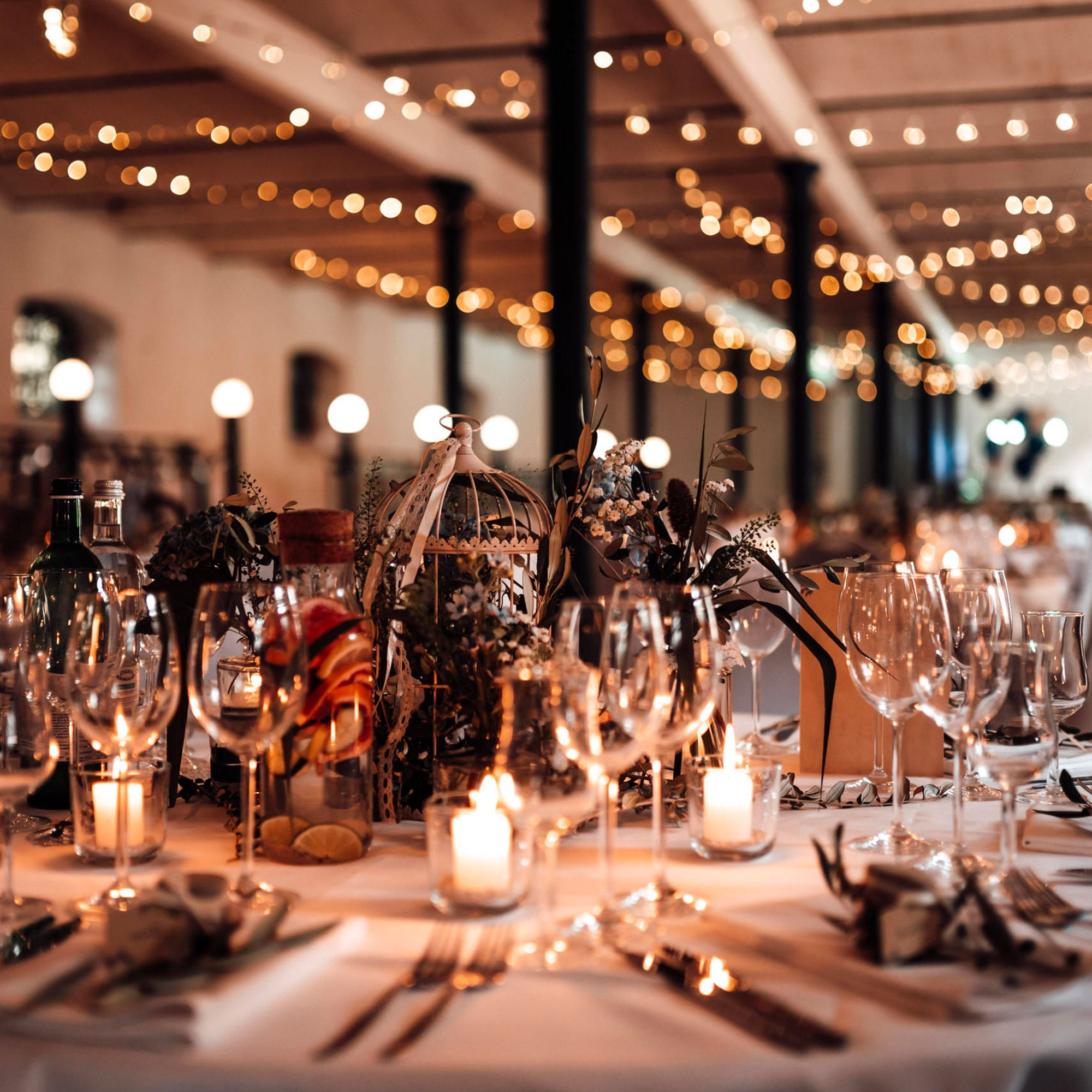 Guirlande Lumineuse 12m Câble Transparent 100 Leds Blanc chaud - 5