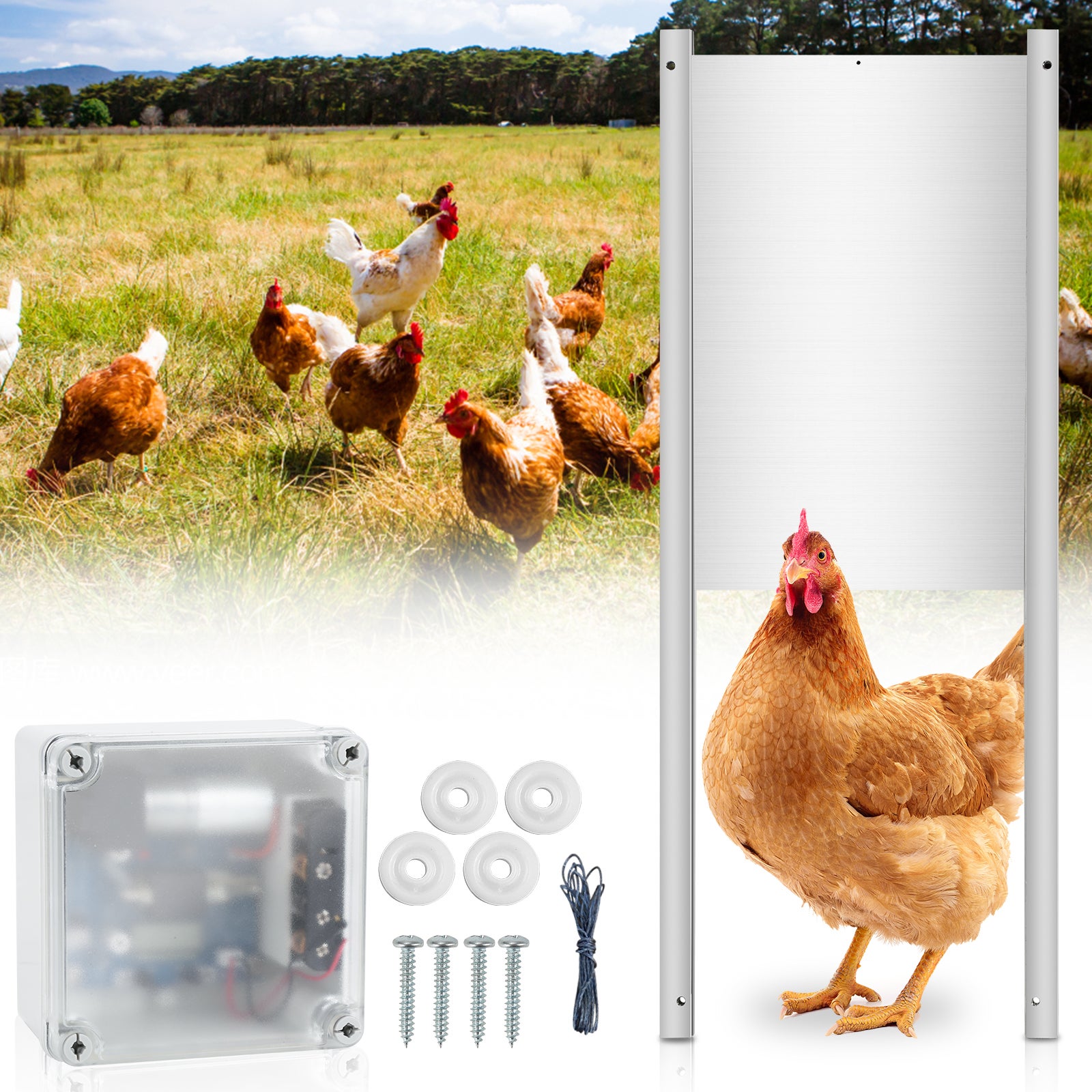 Porta Automatica Per Pollaio Con Telecomando E Sensore Di Luce - Impermeabile IP67 - Foto 11