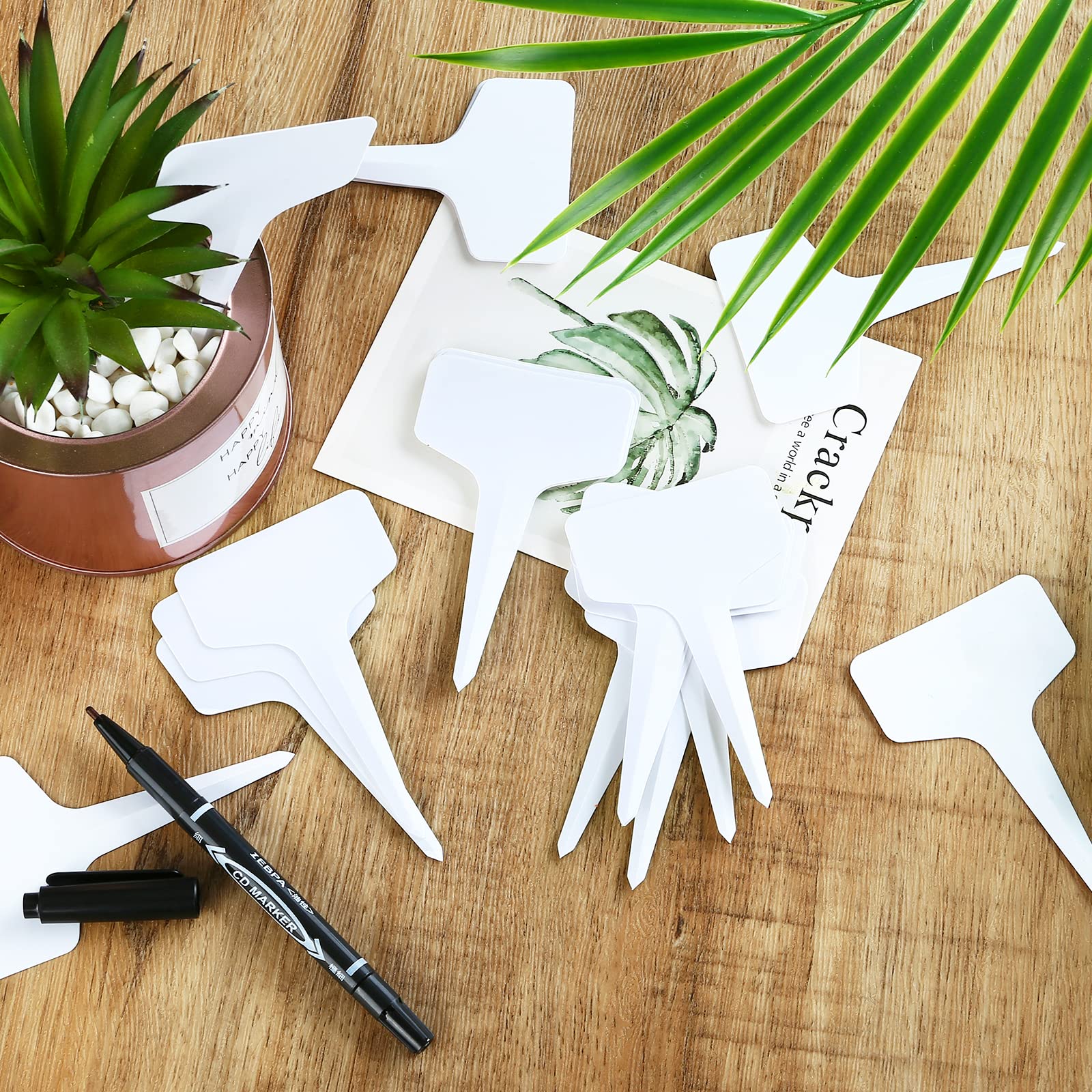 200 pièces Etiquette Jardin Exterieur Marqueurs en Plastique de Plantes Type T Plastique Etiquette Potager avec Stylo étanche Etiquetage Réutilisable - 3