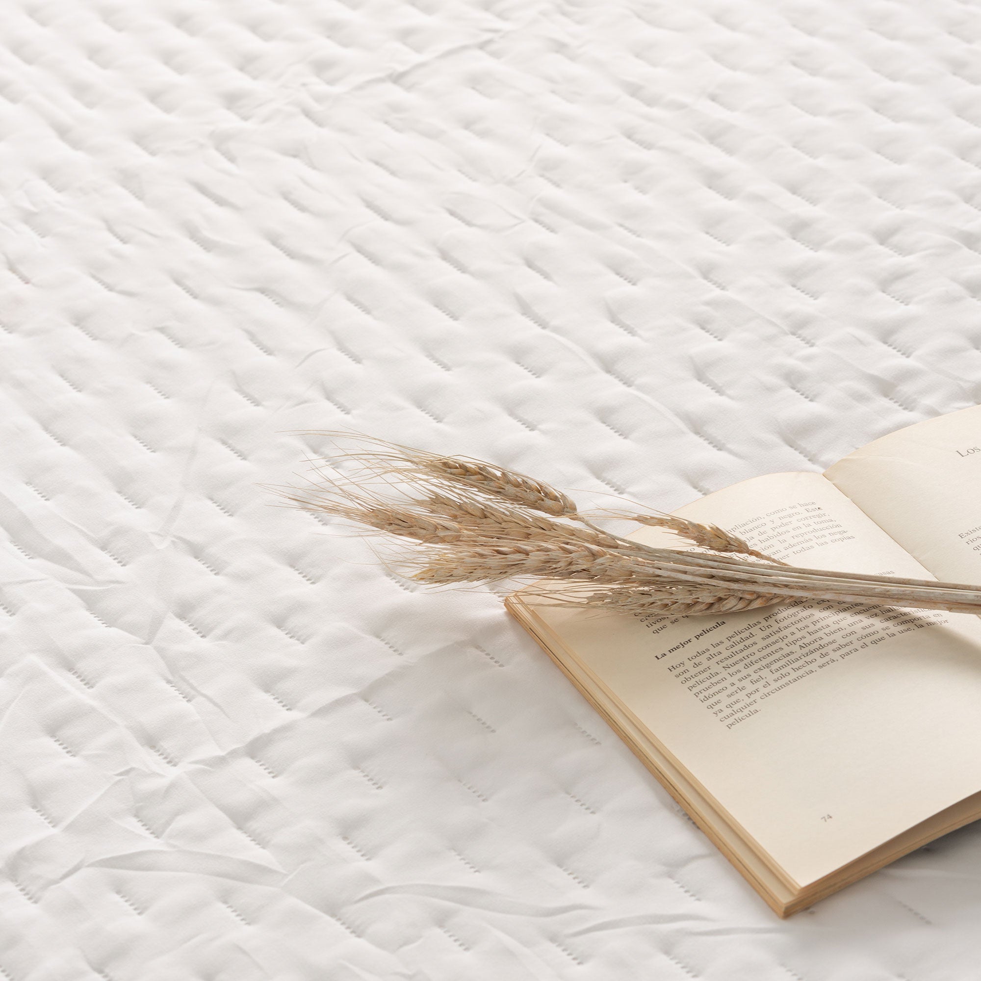 Colcha acolchada lisa cama 150/160 incluye fundas de almohada 250x270 + 2(50x70) cm blanco - 2