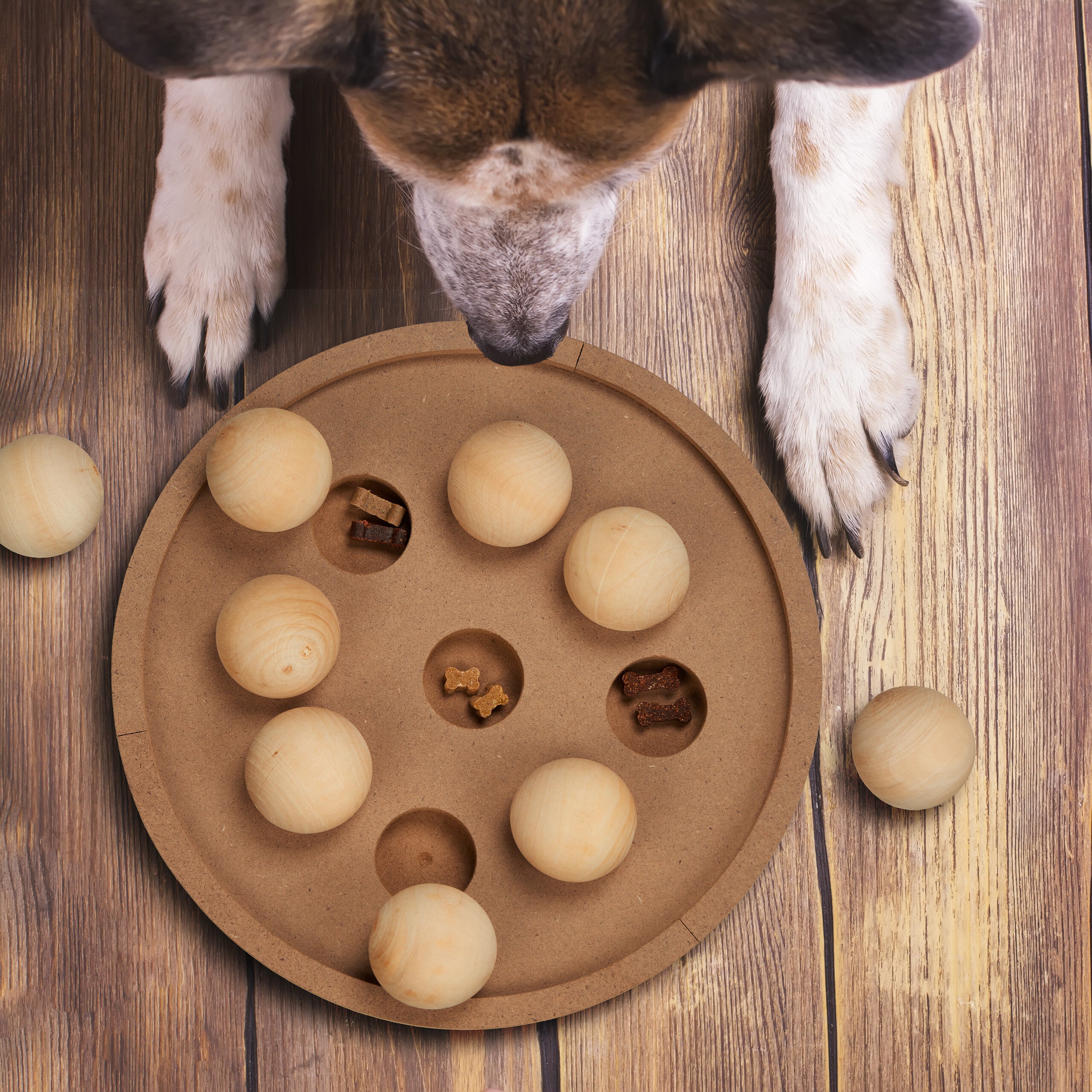 Juegos Perros Inteligencia Juego Olfativo Para Perros/gatos Con