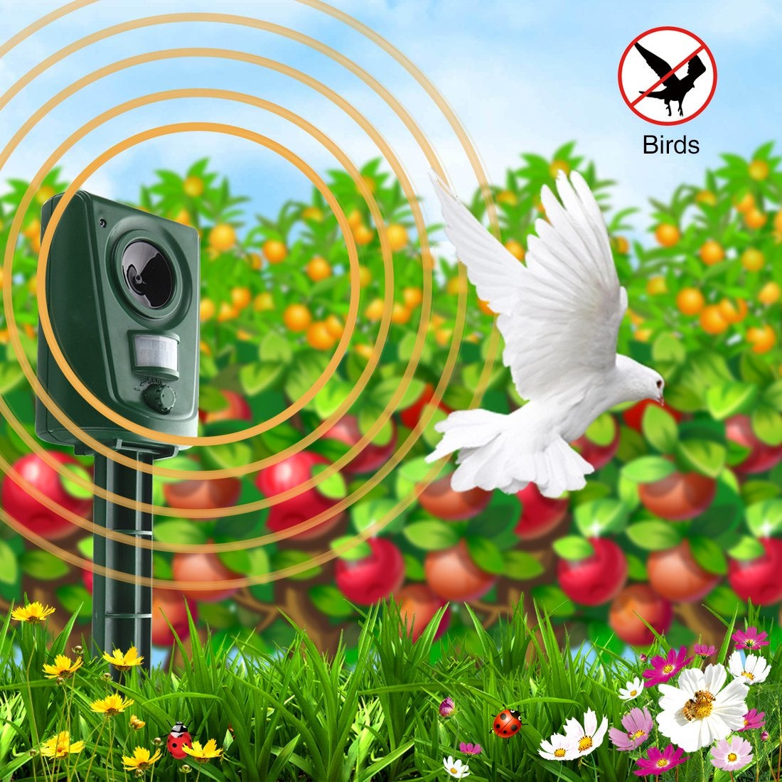 2X Répulsif Chat Jardin à Ultrasons, Répulsif Chats avec Piquet au Sol Prévenir Les Chiens et Les Chats, Les Oiseaux, pour Jardins, Champs - 6