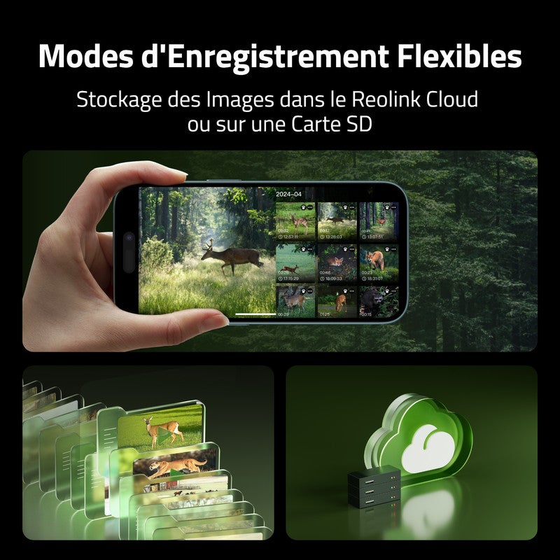 Camovue Caméra de surveillance 4K Batterie 4G Extérieur, Carte SIM, Vision Nocturne, Reconnaissance d'Espèces - 9