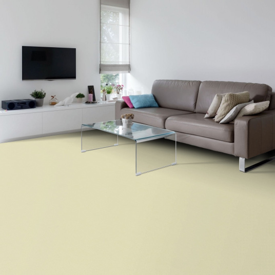 Moquette - Manège - Blanc coquille - Rouleau de 4m x 3m - 2