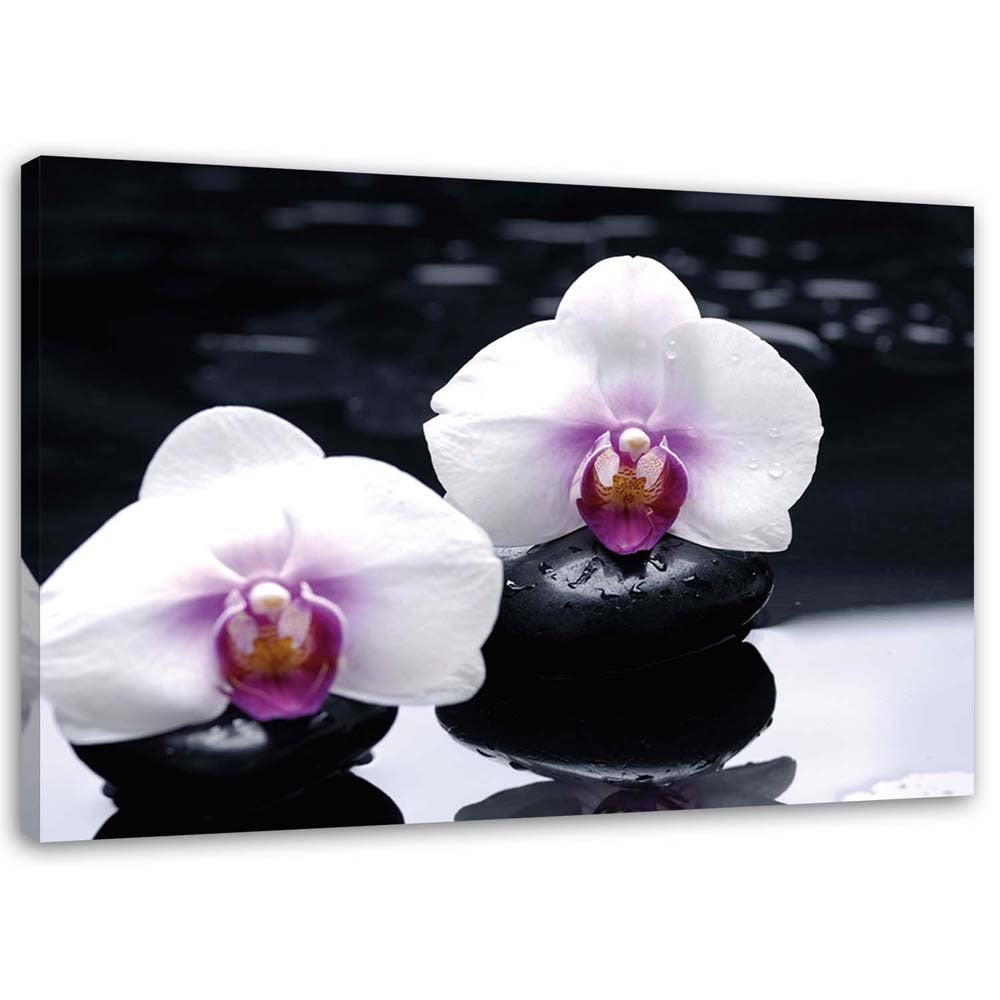 Obraz na płótnie, Orchidea w stylu zen 60x40