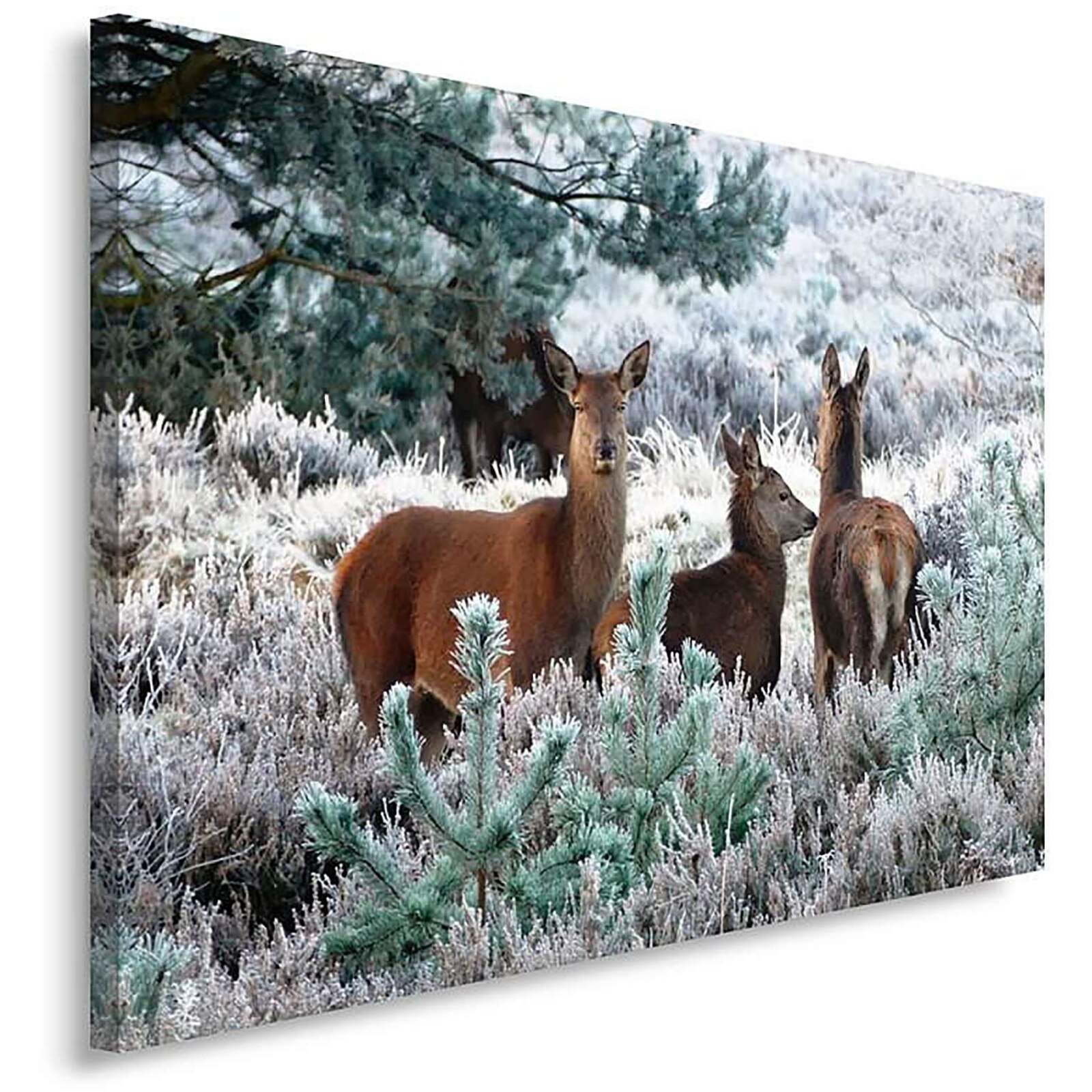 Tableau les cerfs et le givre - 70 x 50 cm - 2