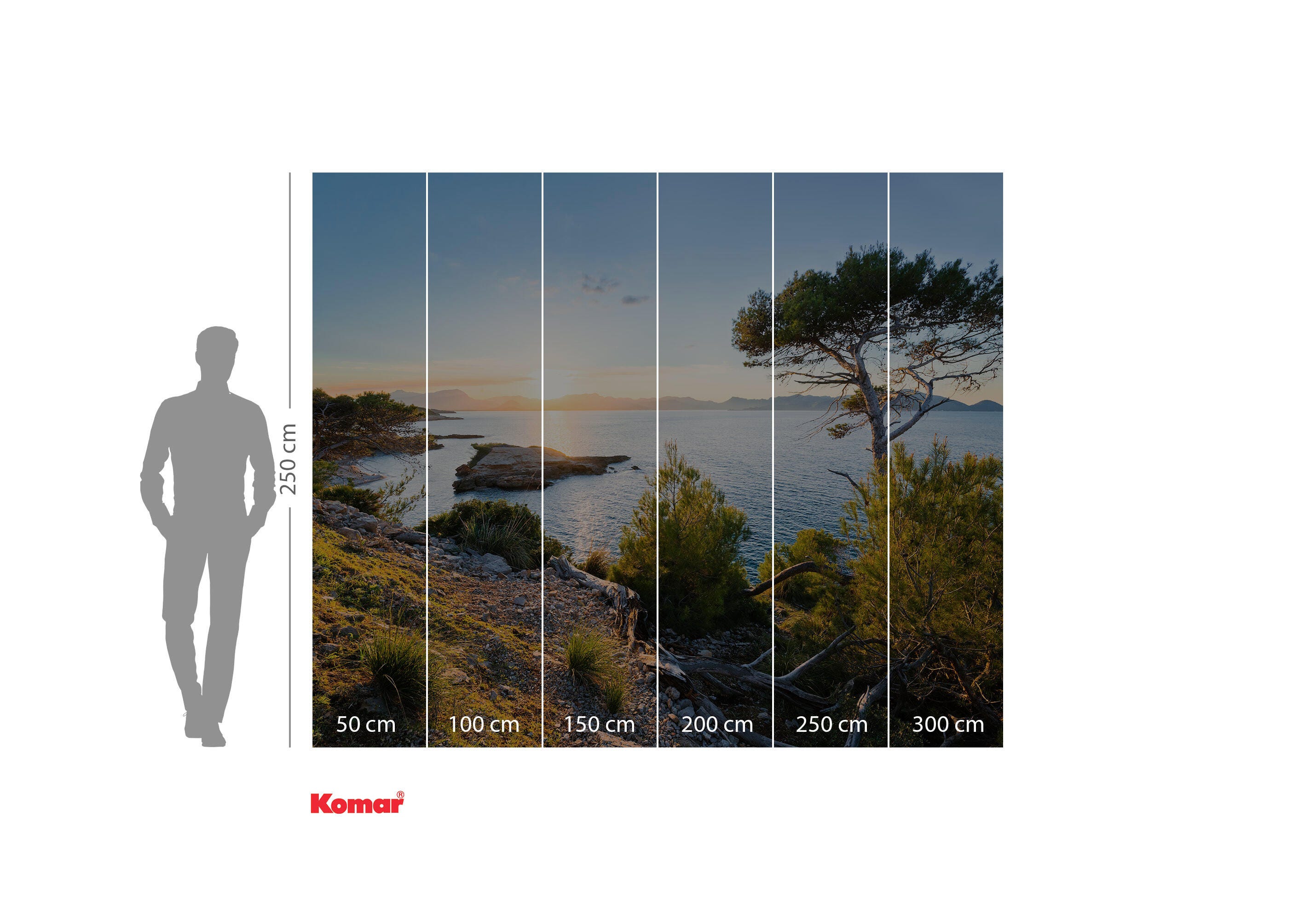 Papier peint panoramique soleil noir multicolore, l.300 x H.250 cm - 2