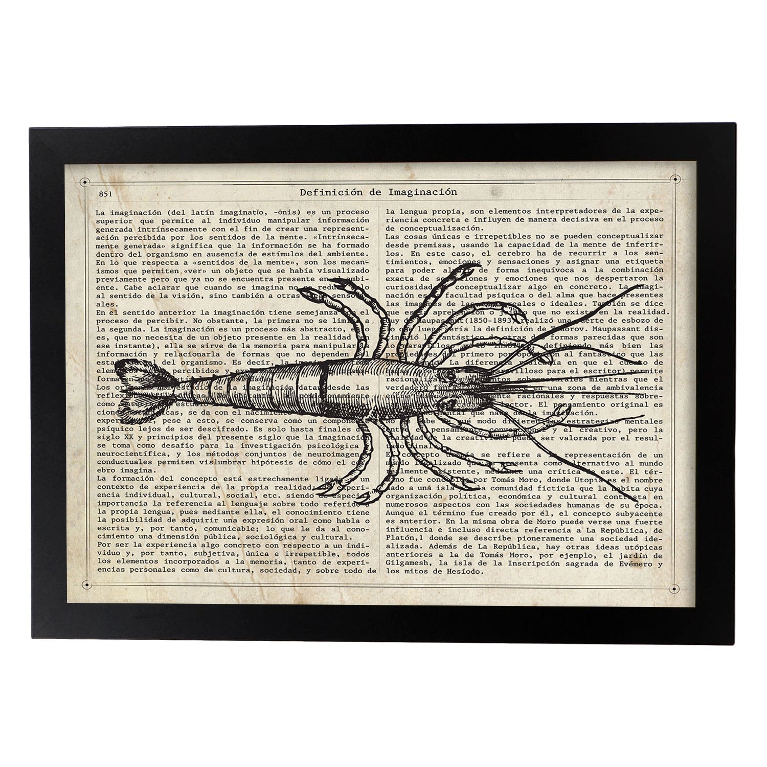 Affiches D'objets Vintage Lame De Homard Vintage Avec Des Images D'objets Et D'instruments Vintage, Avec Des Définitions En Espagnol Châssis Blanc A3 - 2