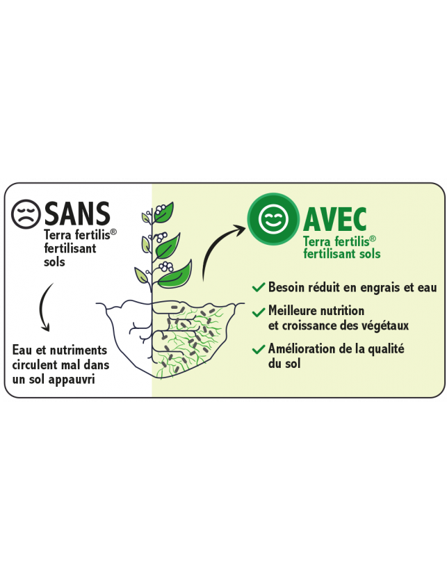 Fertilisant Plantes Et Fleurs En Pot À Base De Biochar - 10 Dosettes de 100g - 2