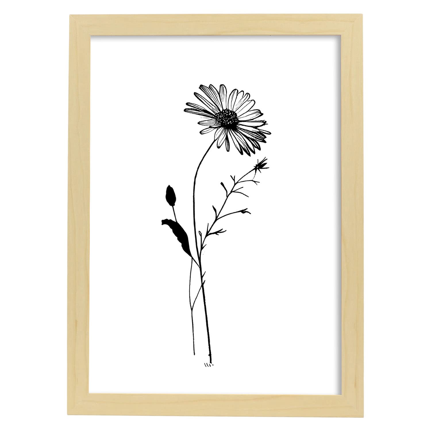 Nacnic poster de margarita estilo nórdico ilustraciones de botánica con flores y plantas en blanco y negro diseño y 2 a3 con marco de madera clara