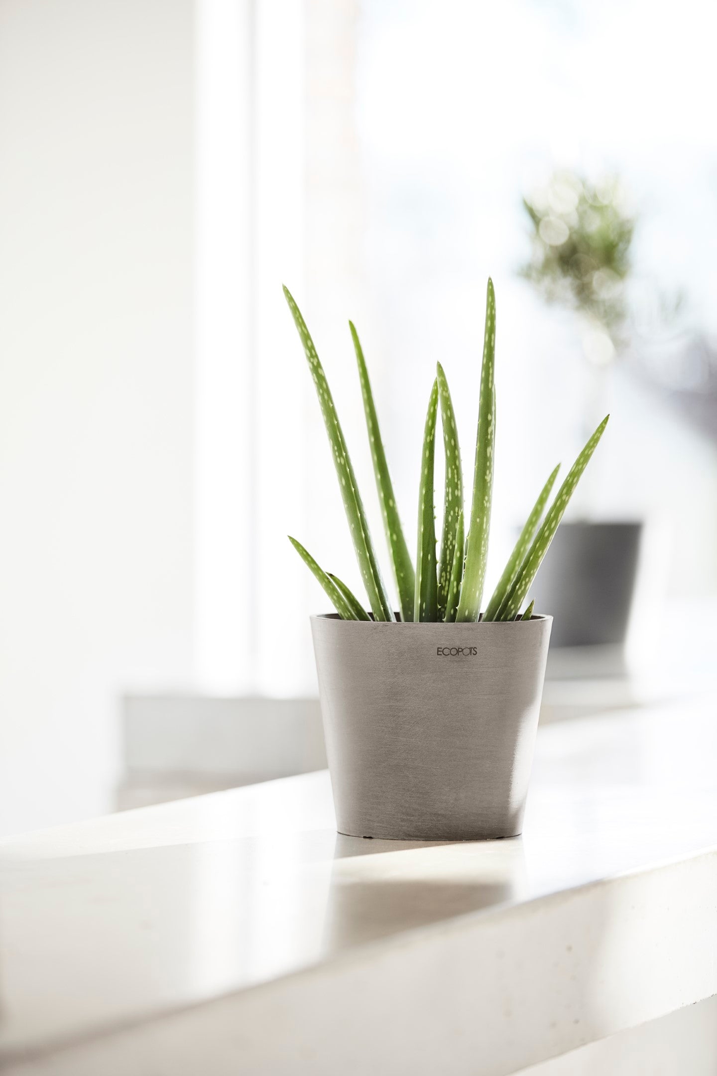 Ecopots Amsterdam 20 Pot de fleurs - L 20 cm x H 17,1 cm - Taupe - Intérieur et extérieur - 4