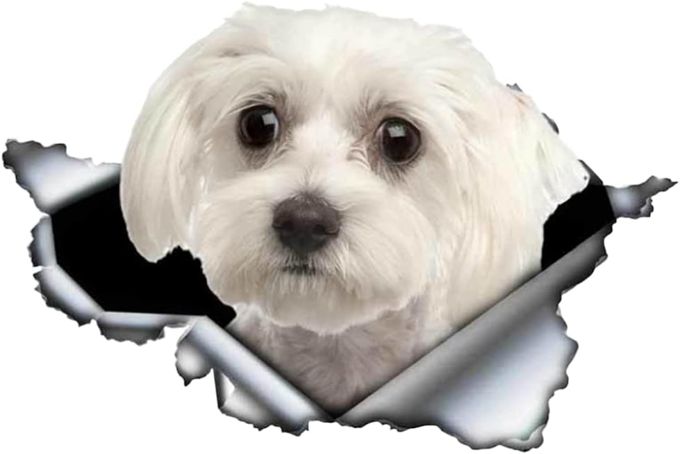 Wodoodporna naklejka na samochód z PVC, 2 szt., naklejka z wizerunkiem psa rasy Bichon Frise, zabawna naklejka na samochód z motywem psa