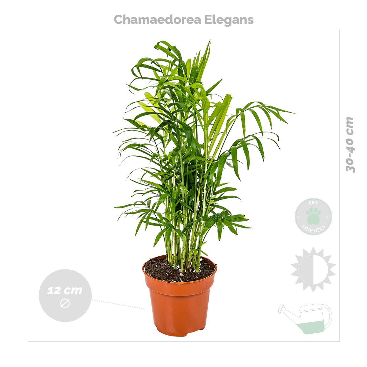 Lot de 4 - Mélange sans danger pour les animaux - H. 20-40 cm - P. 12 cm - 3