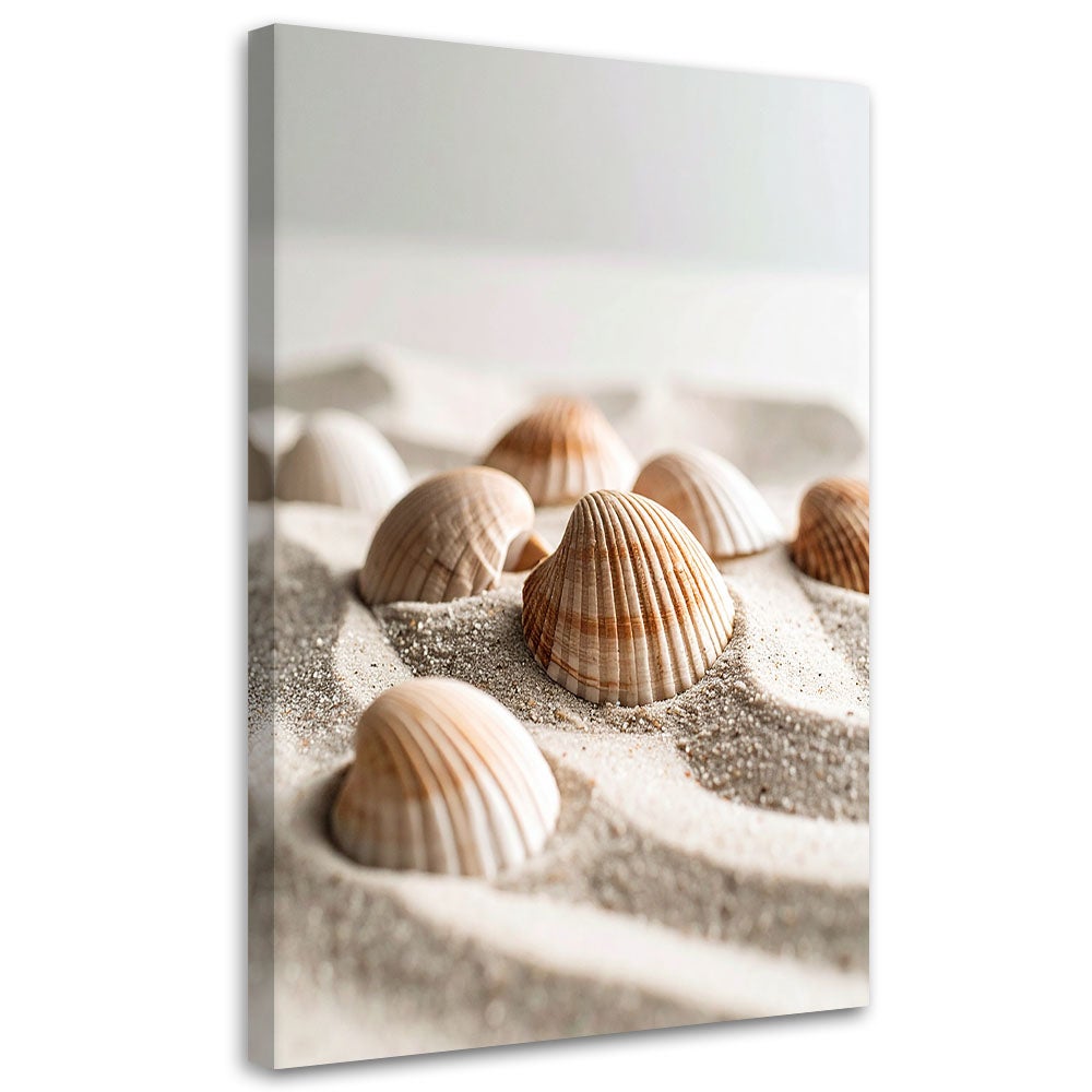 Obraz do salonu kuchni biura, Muszle plaża natura boho 80x120