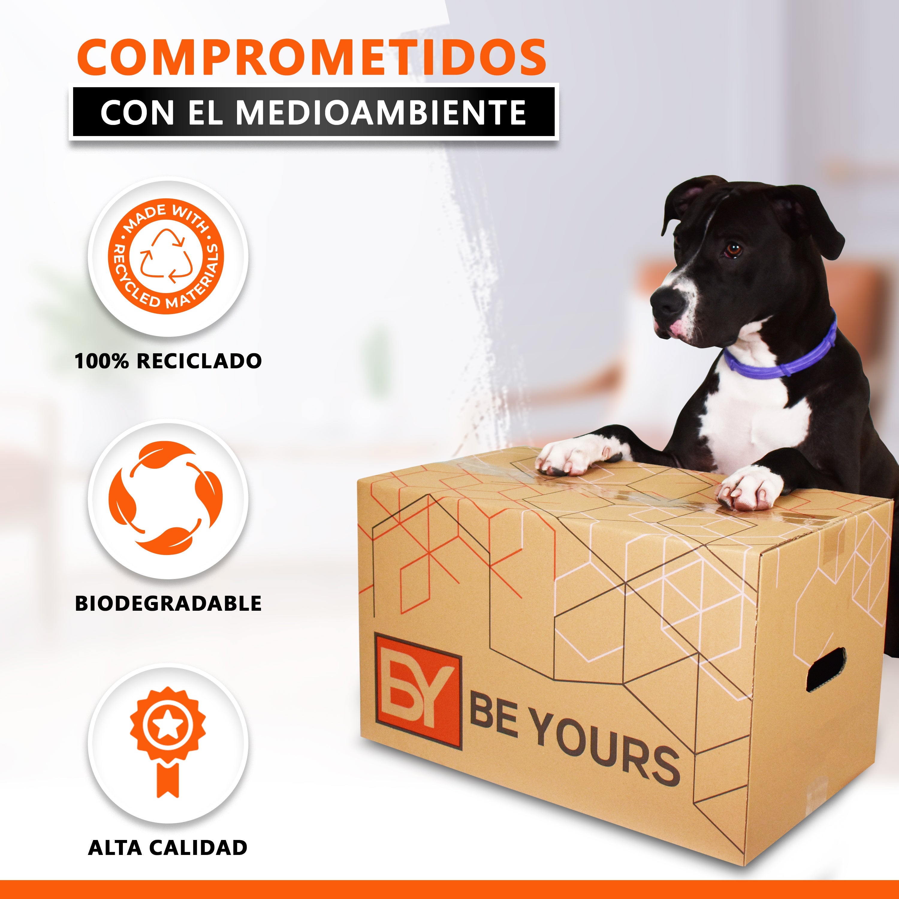 Pack de 20 Cajas de Cartón para Mudanzas 43x30x25 cm + Cinta Adhesiva, Con Asas Reforzadas para un Transporte Fácil y Seguro - 5