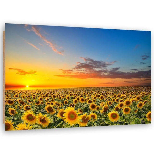 Tableau bois prairie de tournesols - 120 x 80 cm