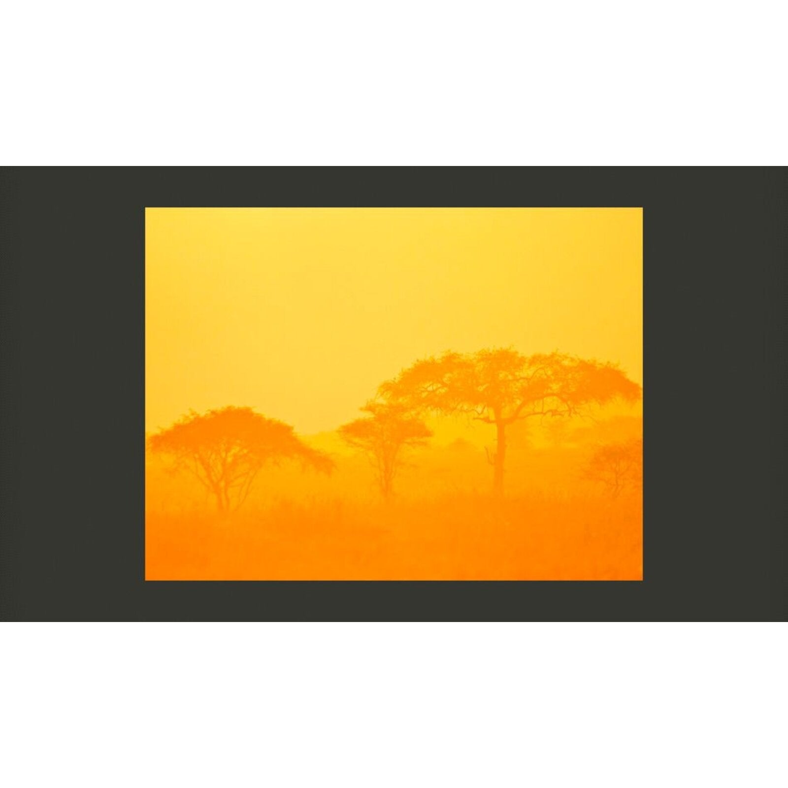 Papier peint savane orange - 350 x 270 cm - 2