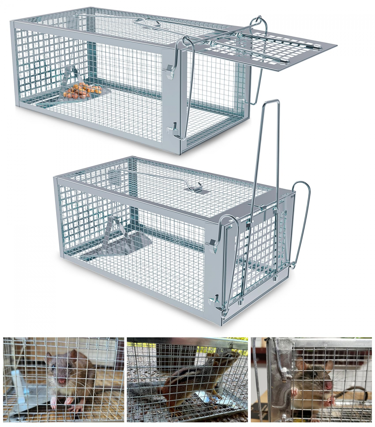 Pièges à cage pour animaux vivants pour rats et souris Chipmunks ...