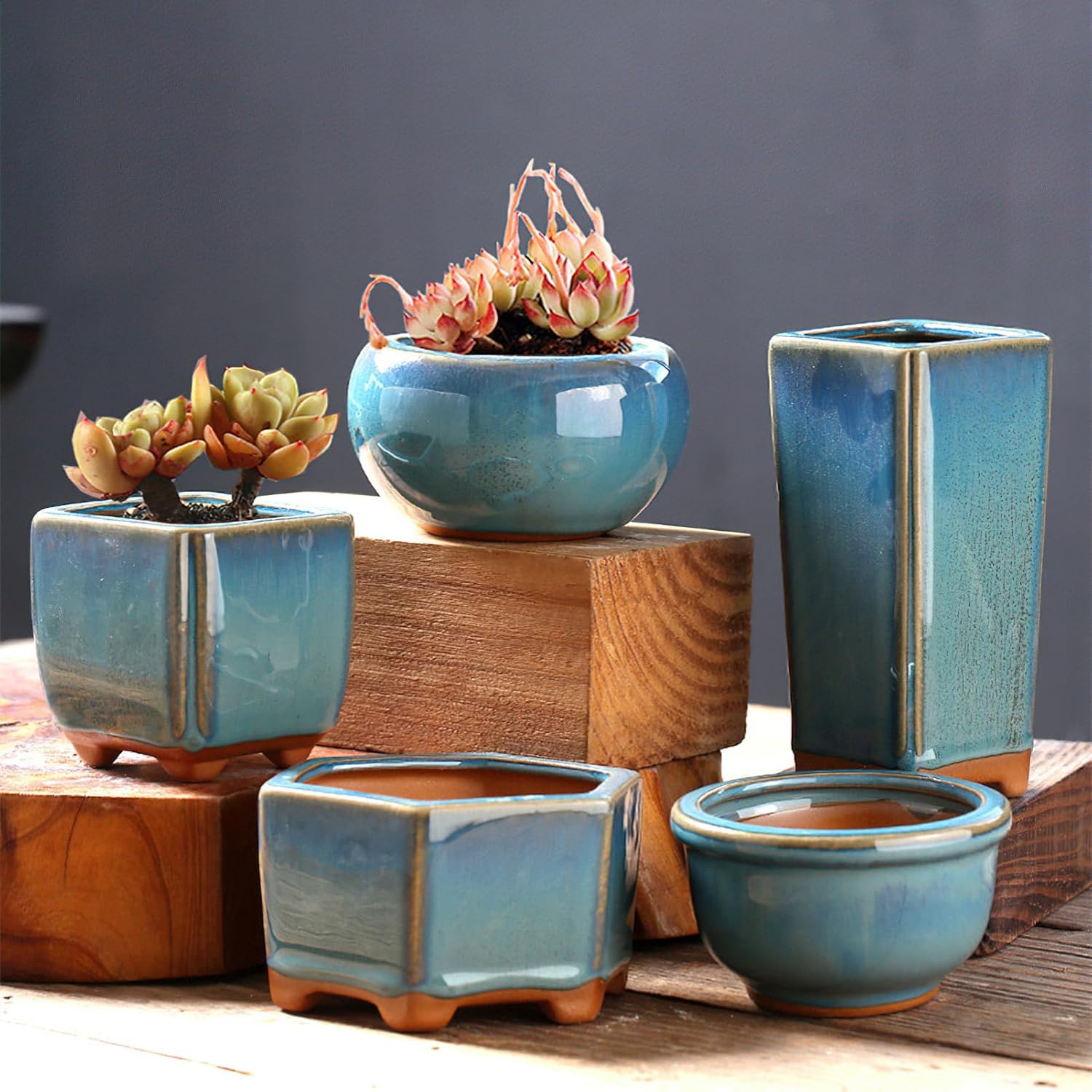 Juego de 3 macetas de cerámica esmaltada, para cactus y minibonsái, para decoración del hogar y la oficina (plantas no incluidas). - 4