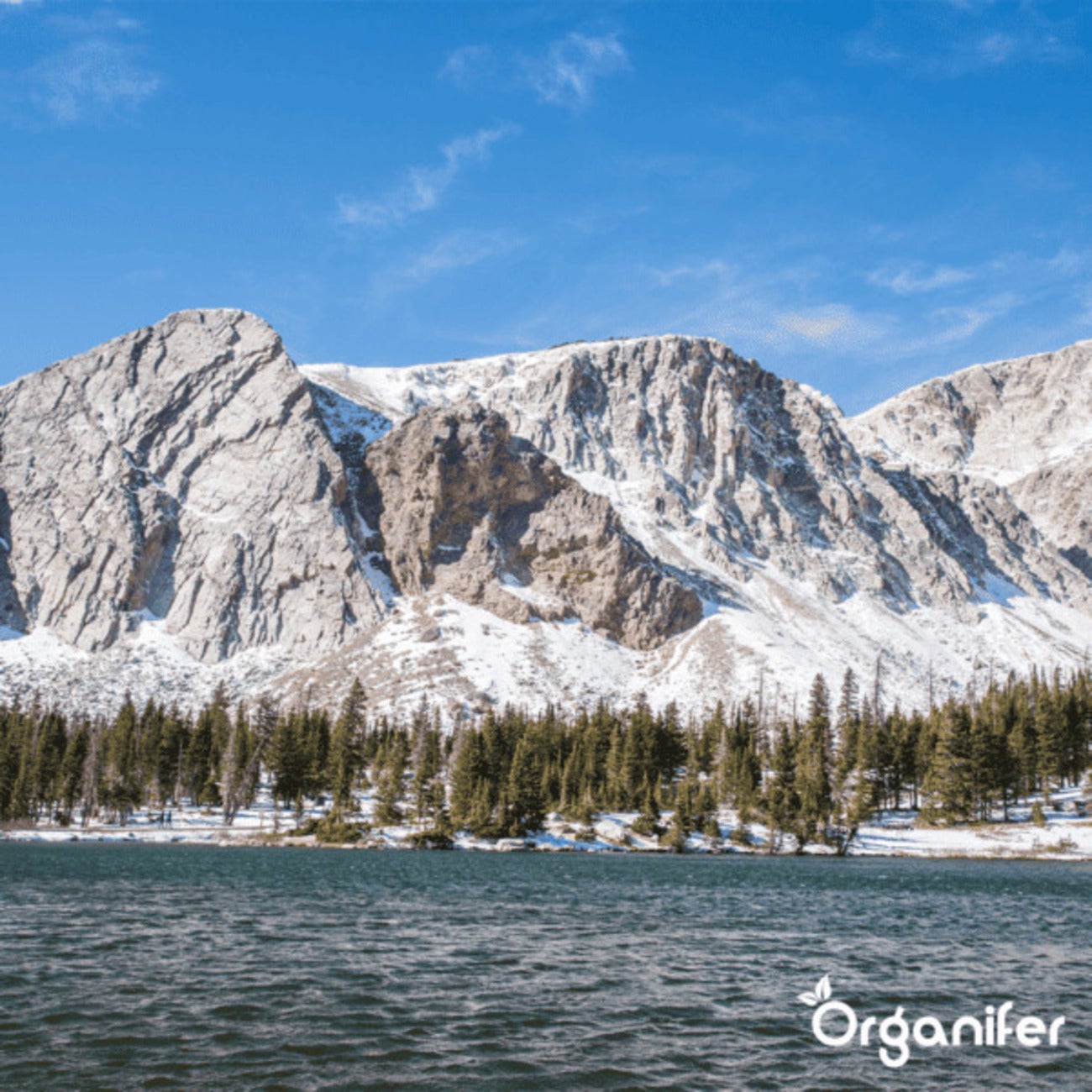 Bentonite Argile - Amendement De Sol - 48X = 960 Kg Pour 9600 M2 - Organifer - 6