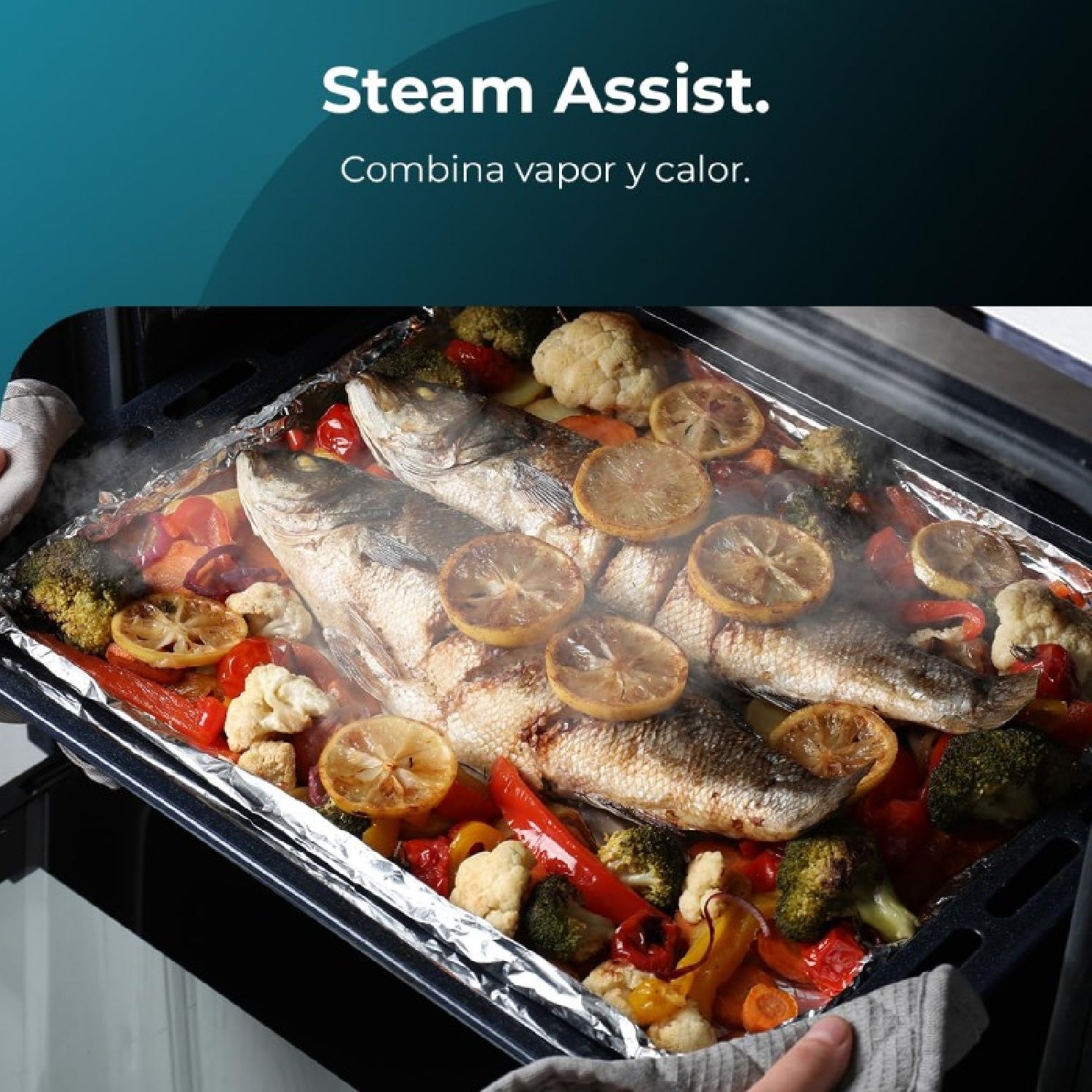 Cecotec Four Multifonction 60cm Bolero Hexa M226000 Glass Grey A. 2800W, 72L, 7 Fonctions, Mode Grill, Grill ventilé - 5
