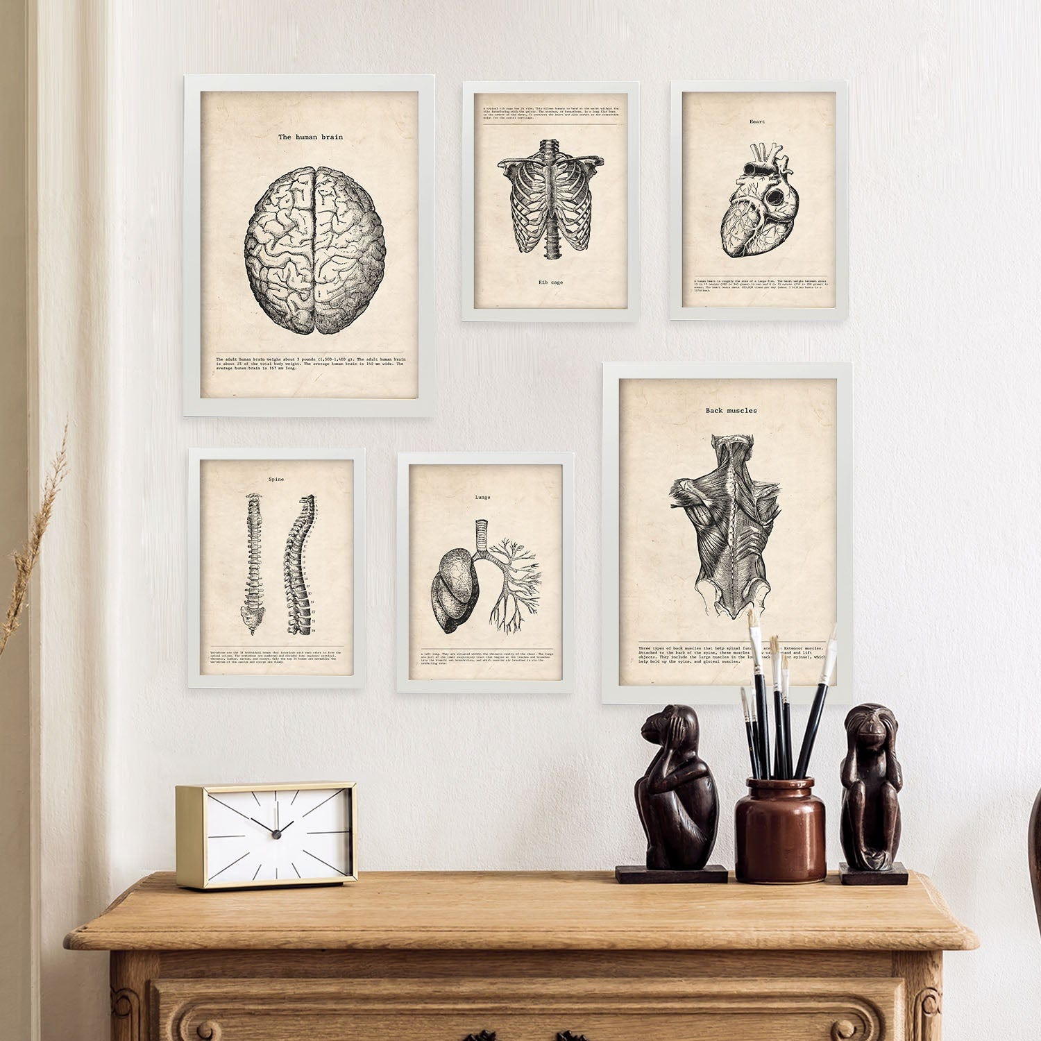 Posters De Esqueleto Y Anatomía Vintage - Set 6 Láminas A4 Y A3 Con Marcos Blancos, Decoración Pared Estilo Médico