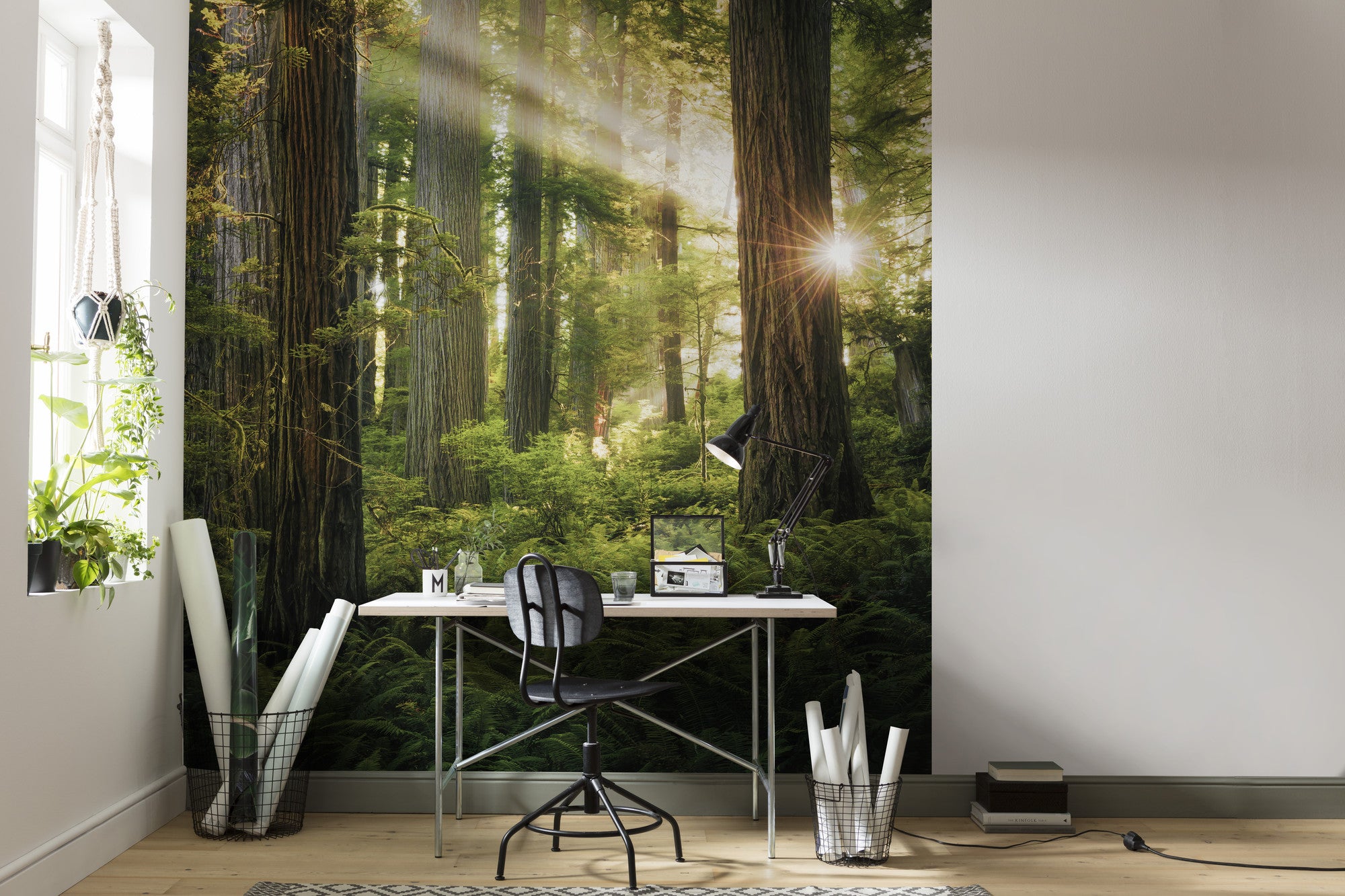 Fototapeta las zielonym - 250 x 280 cm - SANDERS &amp; SANDERS
