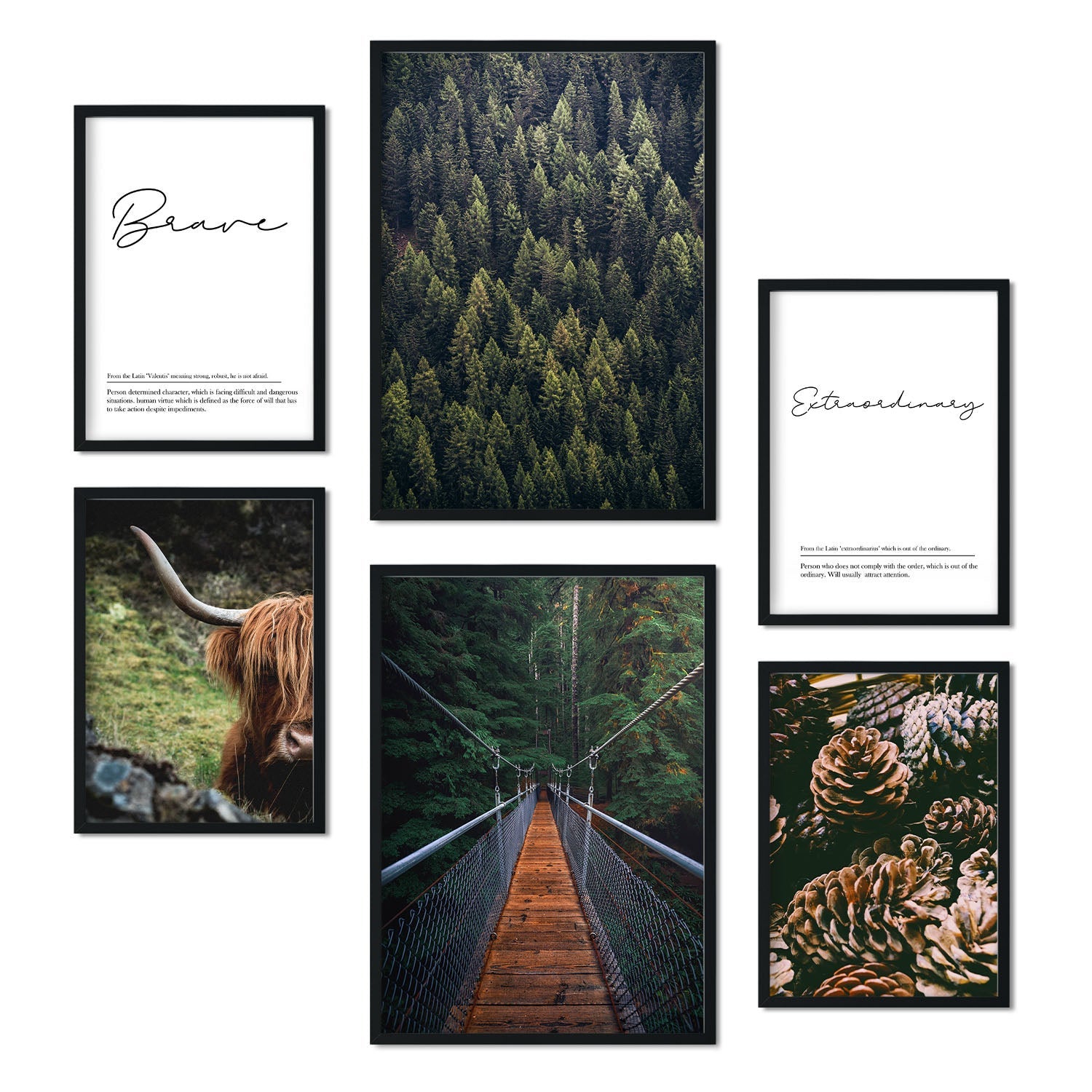 Affiche Sur Toile 40x60 Cm Paul Wesley - Impression Jet D'encre Haute Qualité, Sans Cadre, Décoration Murale Salon