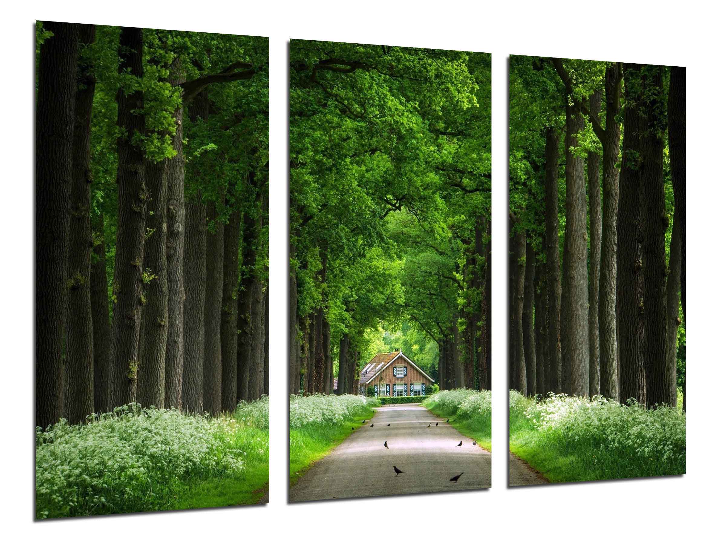 Bosque, casa madera, arboles, impresión fotográfica sobre madera, cuadro moderno decorativo