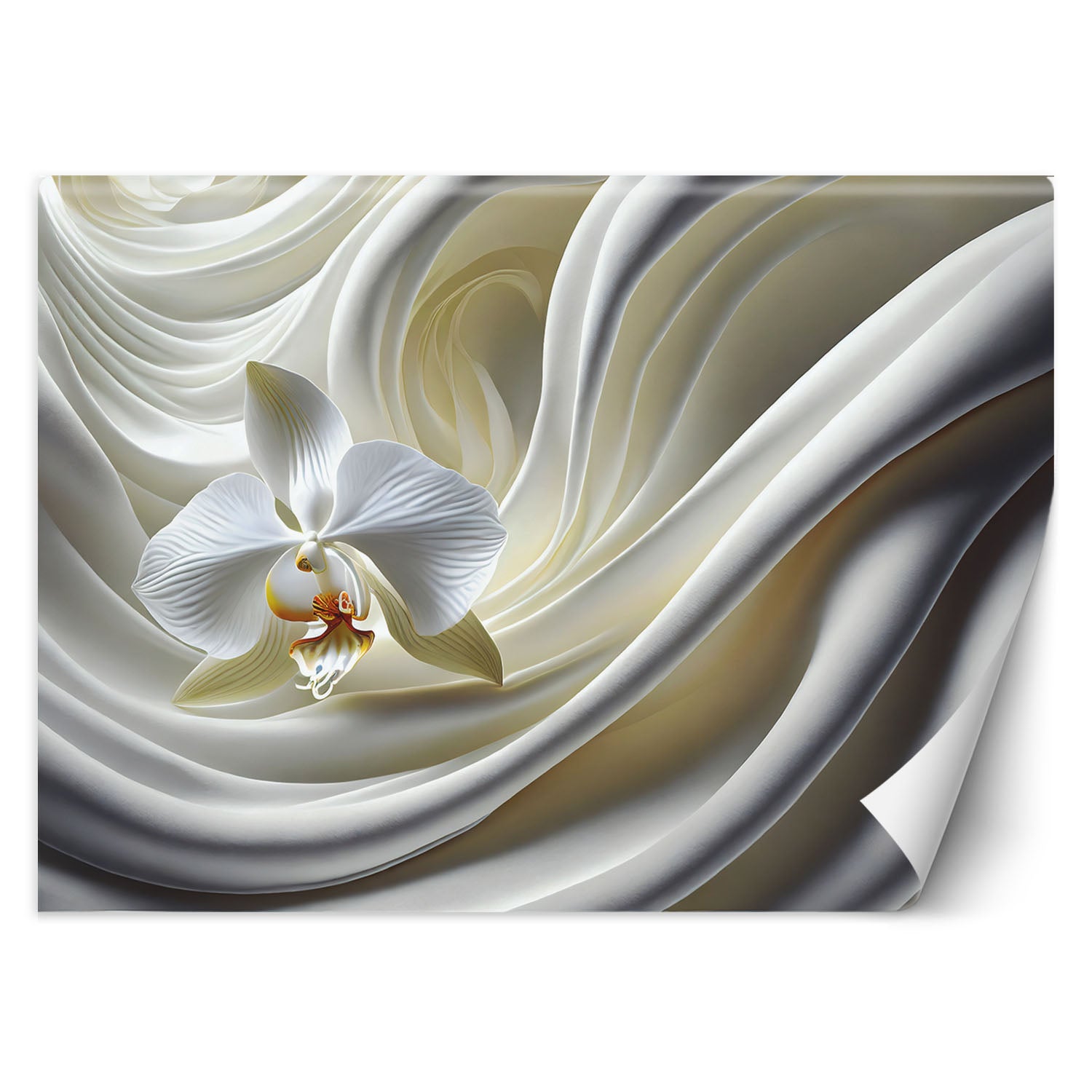 Fototapeta, Biały Storczyk 450x315