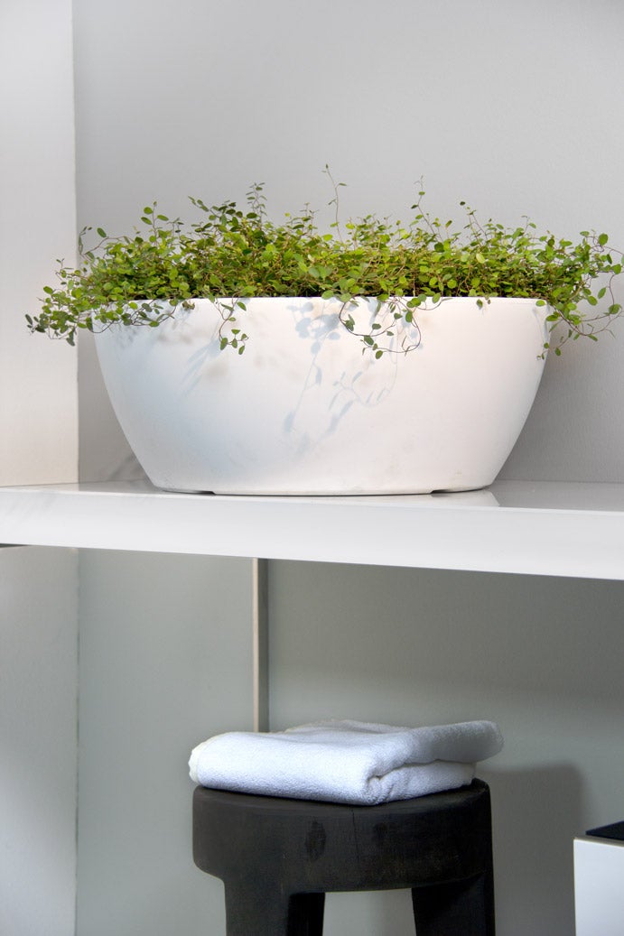 Fioriera rotonda in resina Genesis 60 cm. Bianco | Leroy Merlin