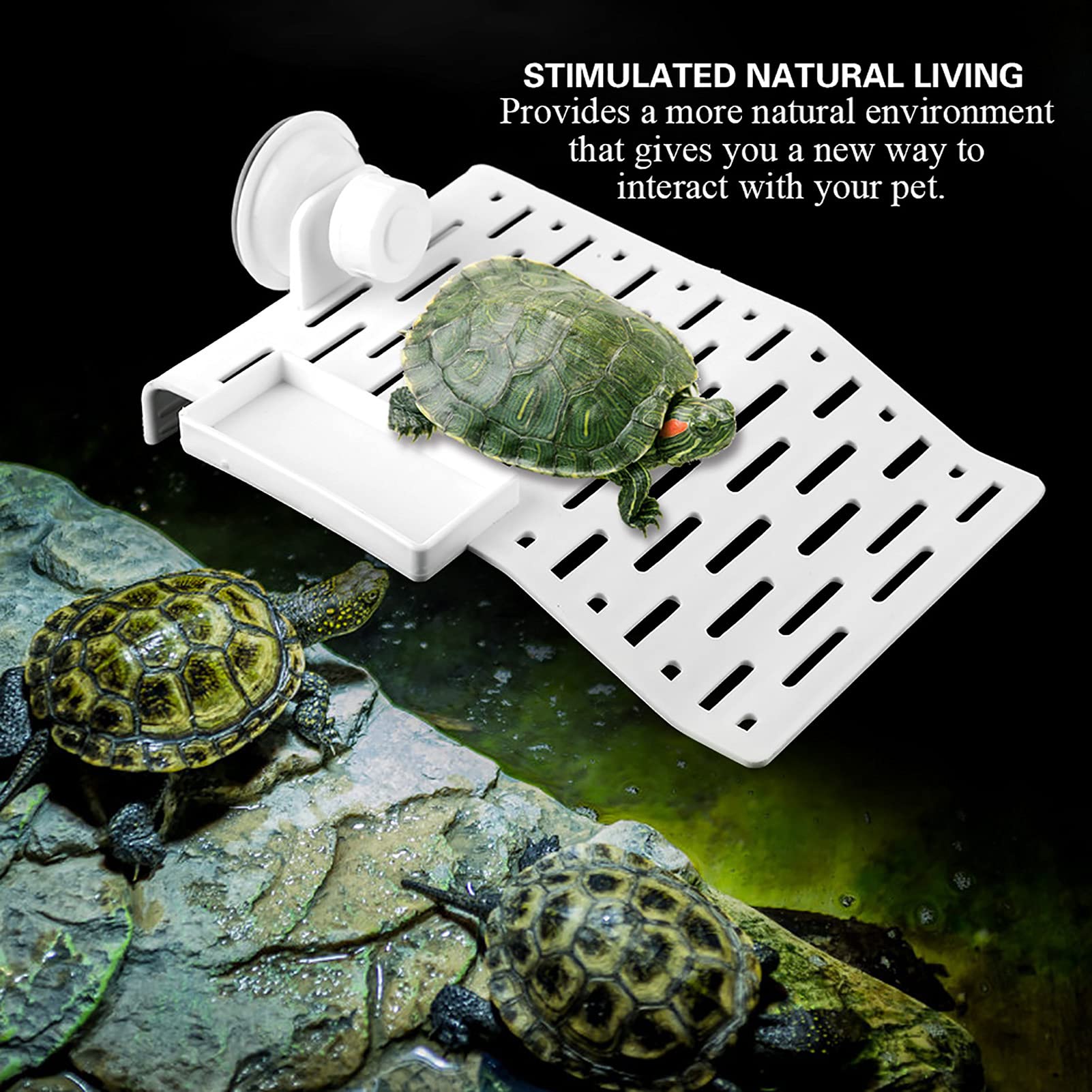 Aquário plataforma tartaruga terraço réptil habitat ilha flutuante doca com v - 7