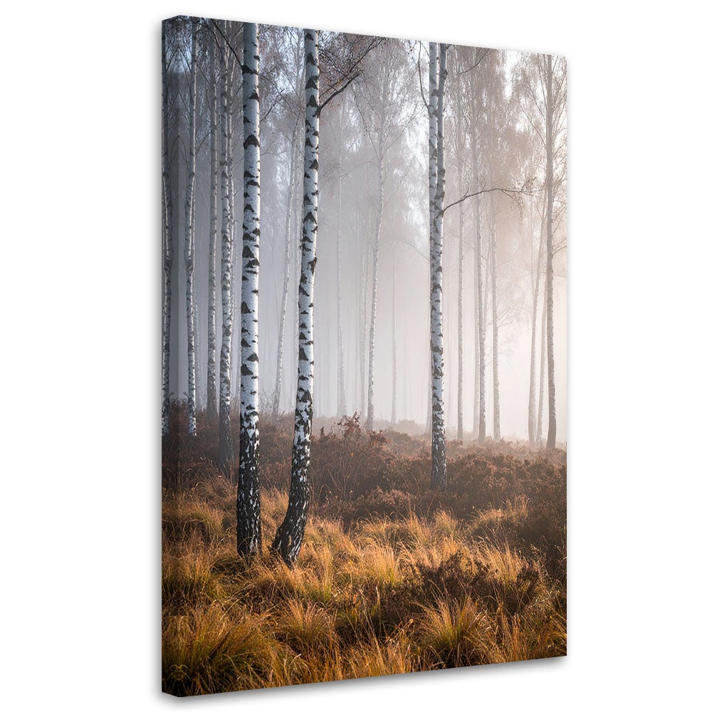 Obraz do salonu sypialni kuchni biura, Las brzozowy we mgle pejzaż natura 80x120