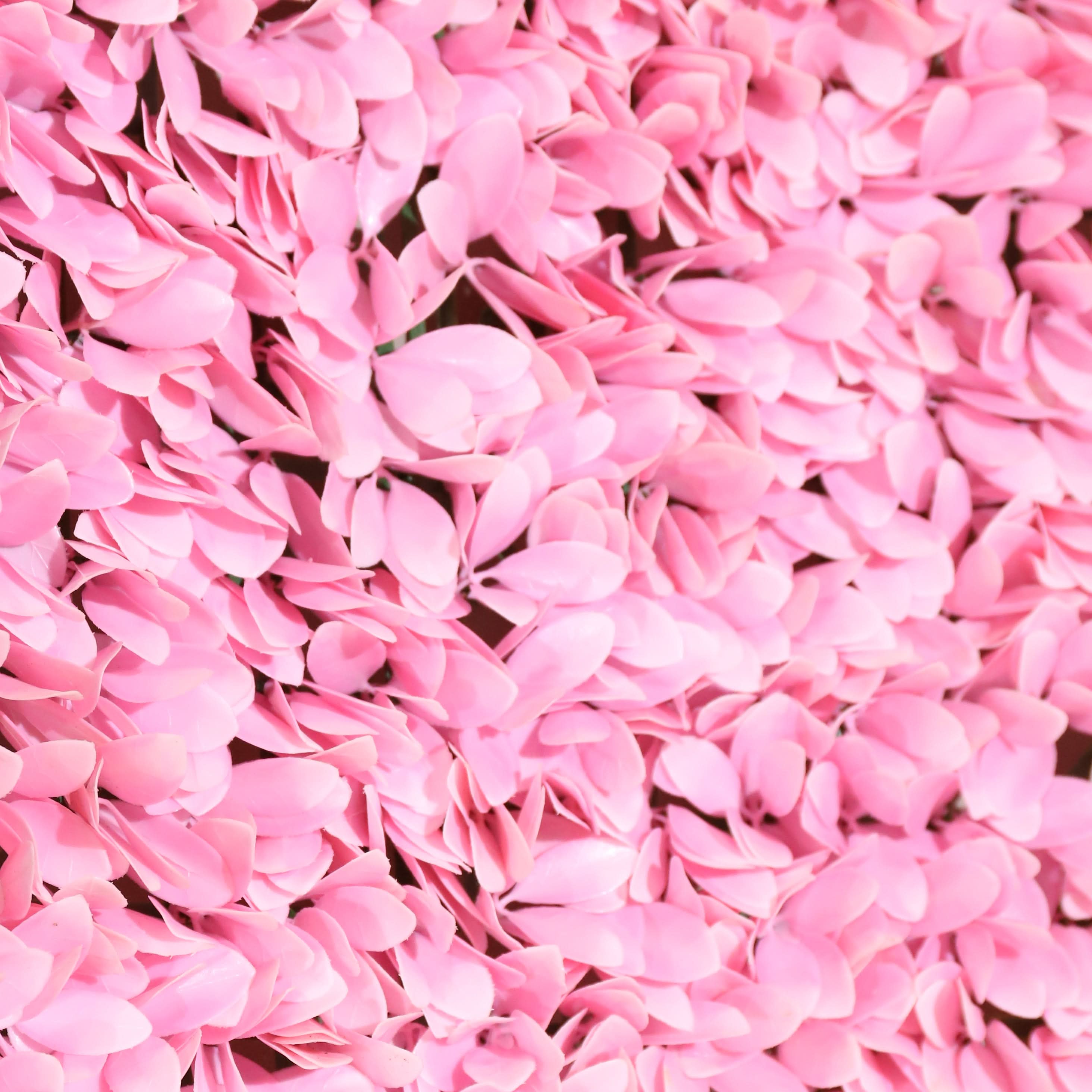 Jardin vertical artificiel Romance Rosa 100 x 100 cm | Naturing Monde - Pour intérieur et extérieur - Matériau PEHD - Garantie UV 5 ans - 7